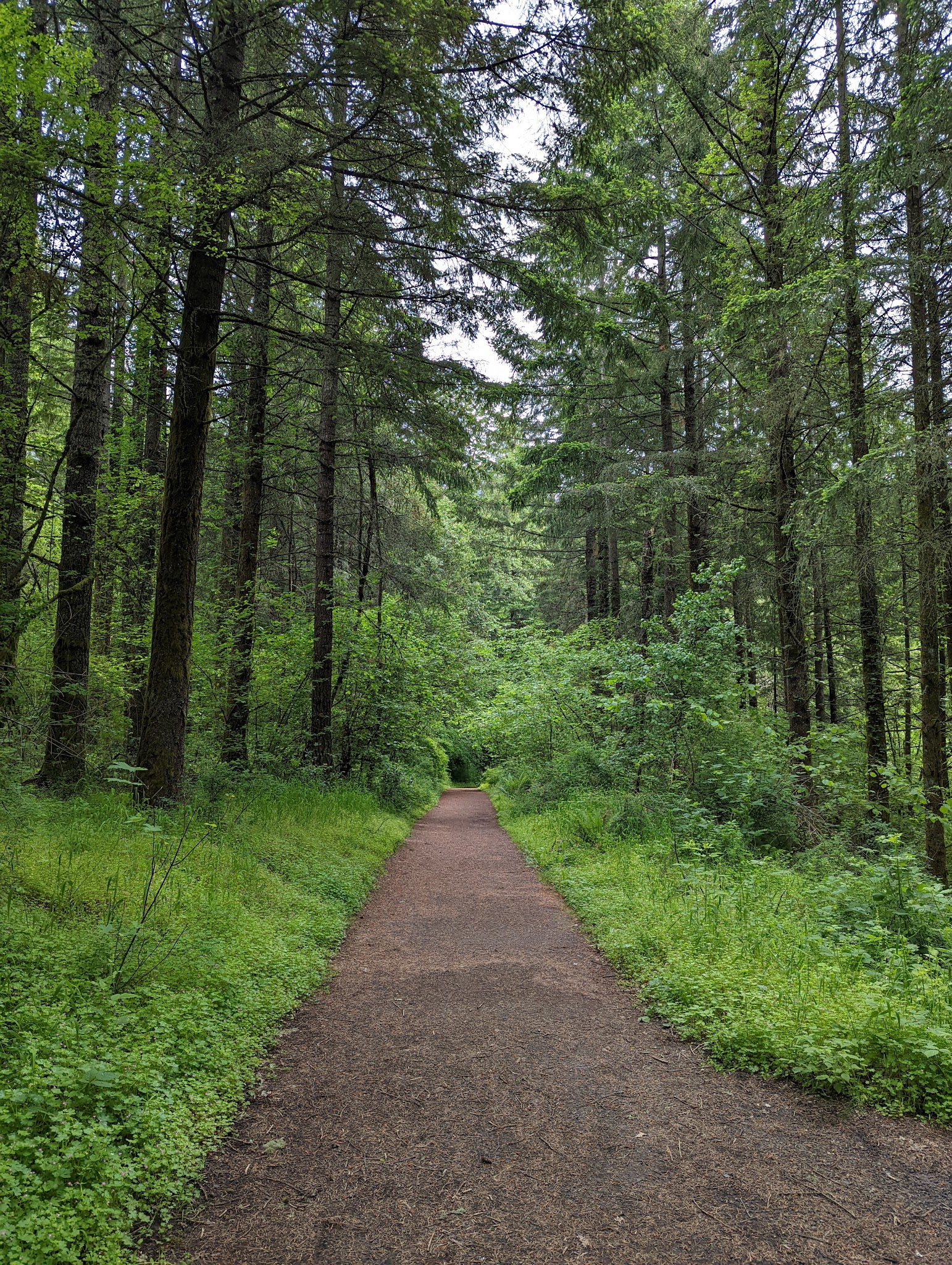 Cooper Mountain Nature Park Activities Campground