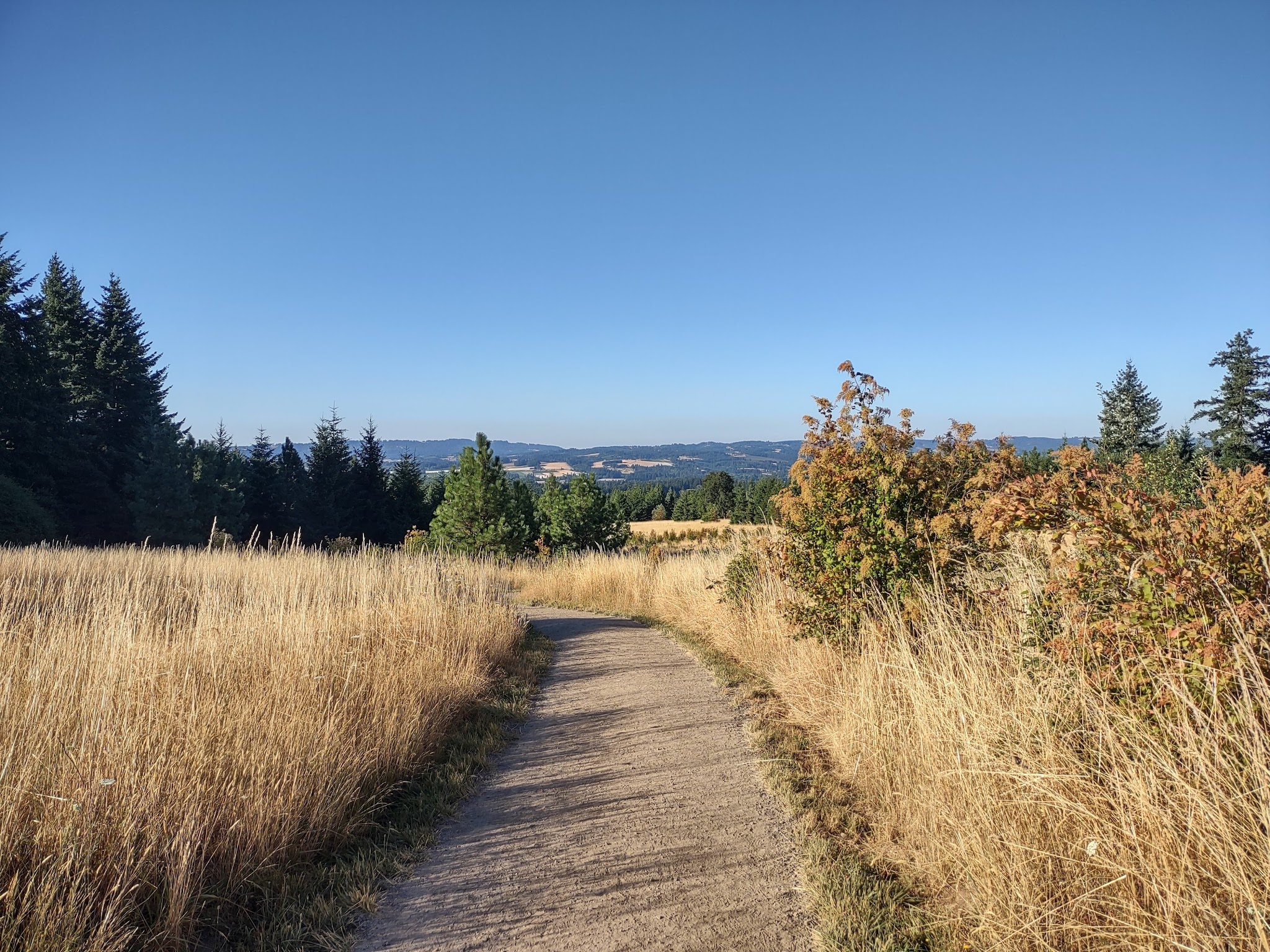 Cooper Mountain Nature Park Activities Campground
