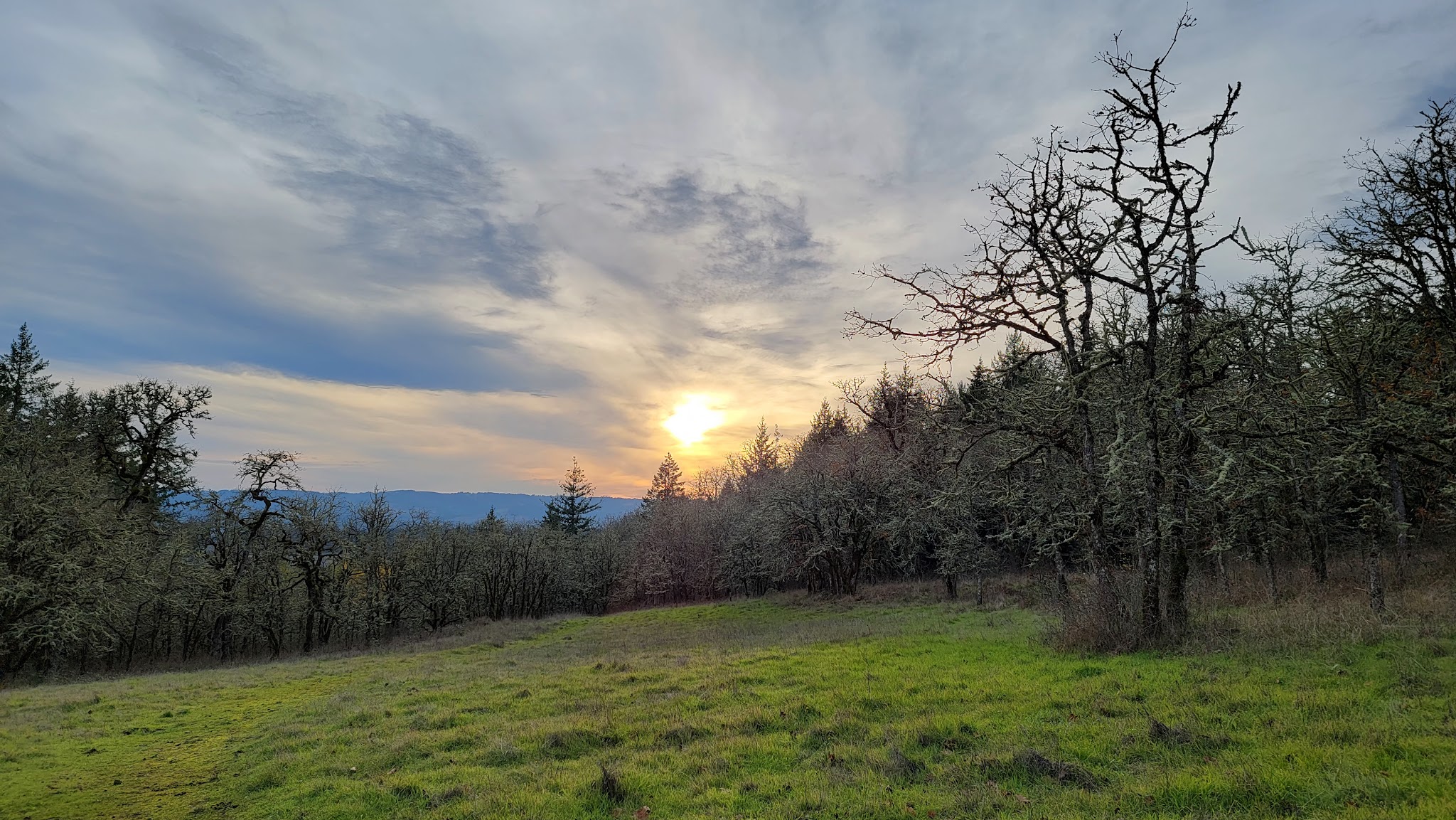 Cooper Mountain Nature Park Activities Campground