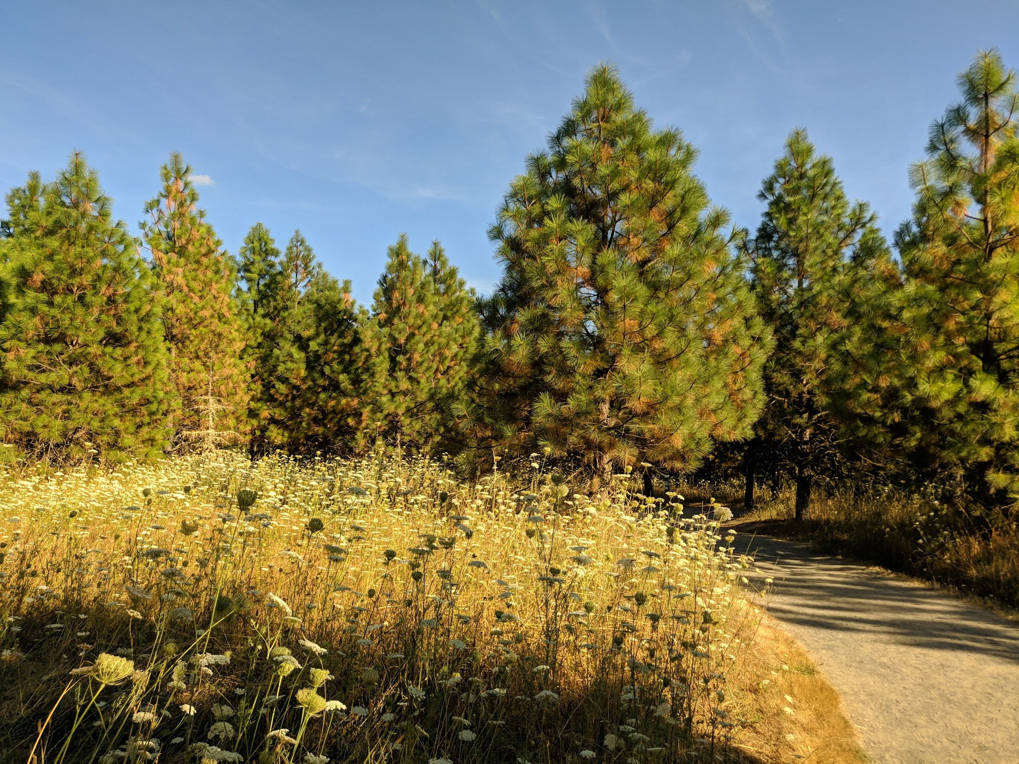 Cooper Mountain Nature Park Activities Campground