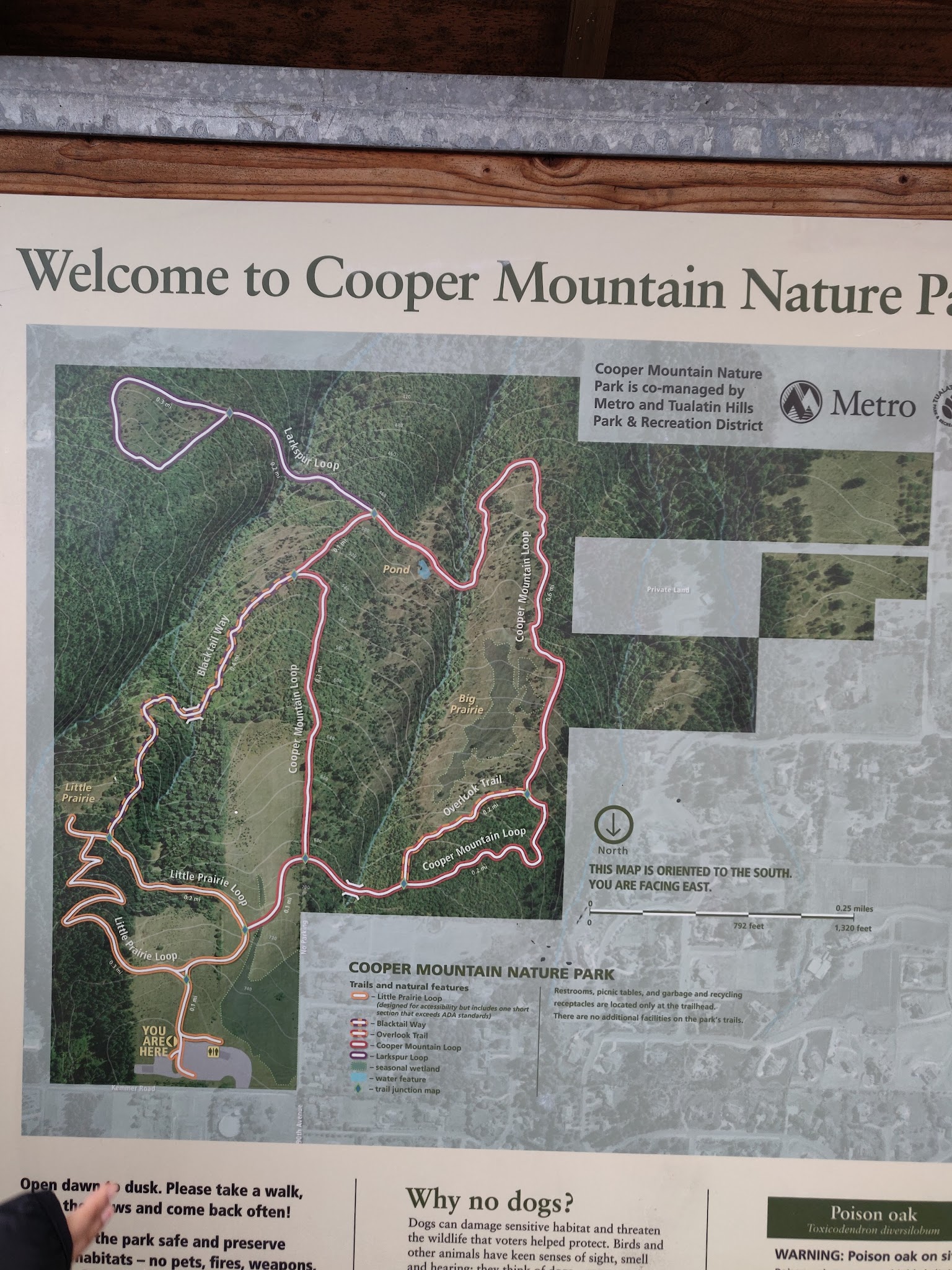 Cooper Mountain Nature Park Activities Campground