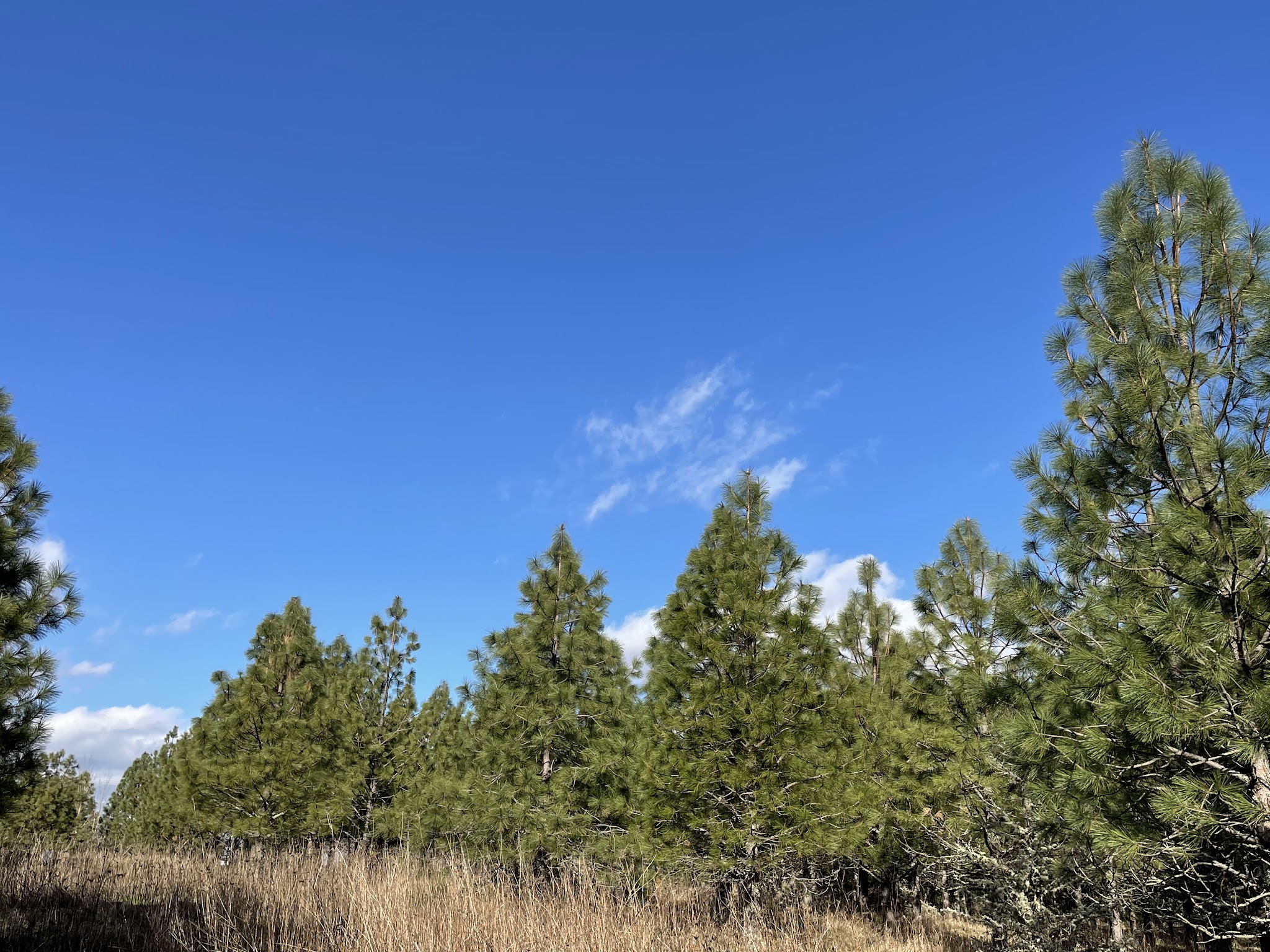 Cooper Mountain Nature Park Activities Campground
