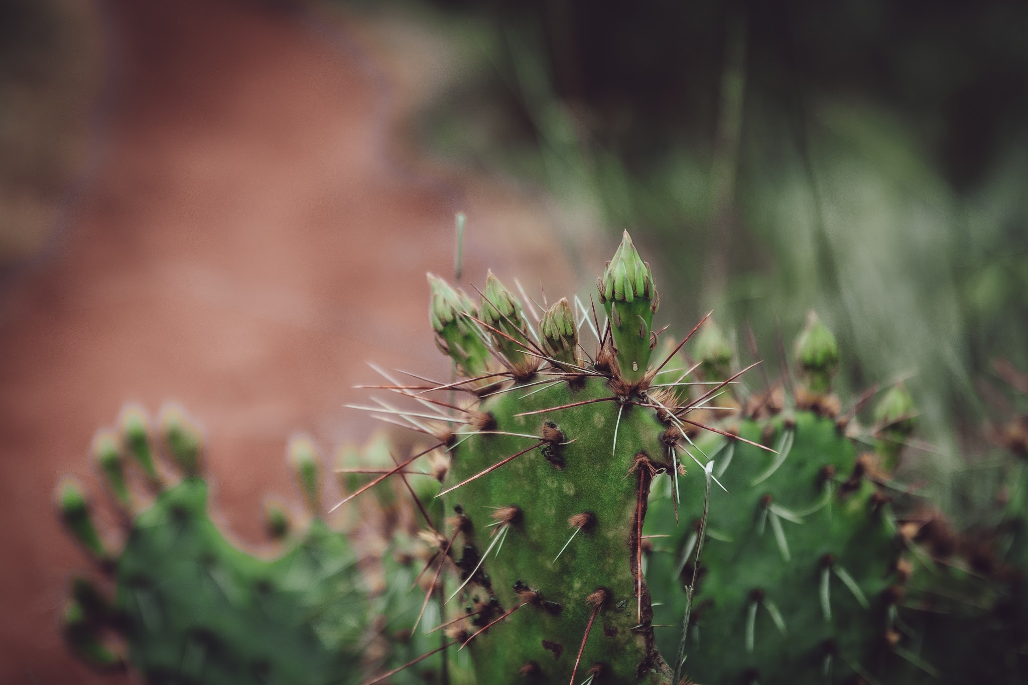Copper Breaks State Park