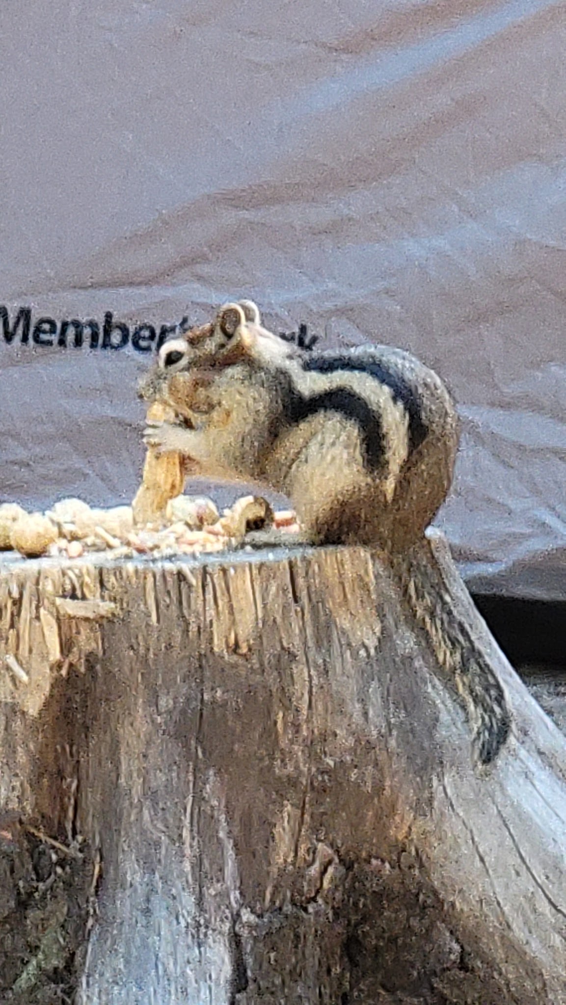 Copper Creek Campground