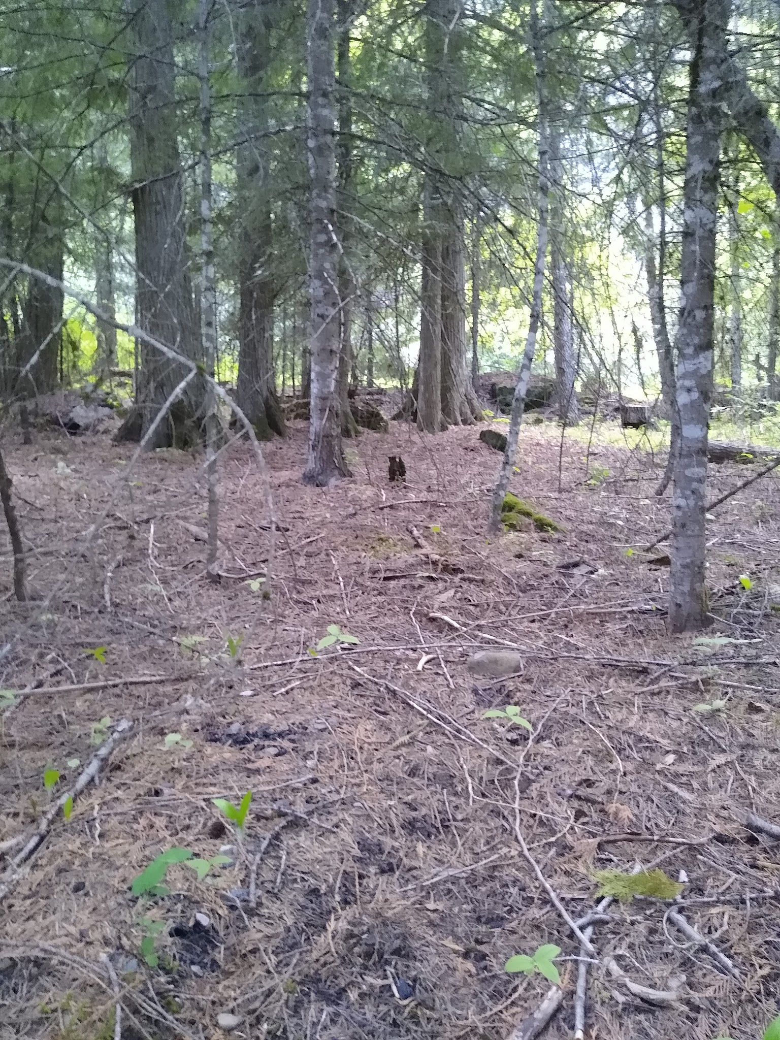 Copper King Campground