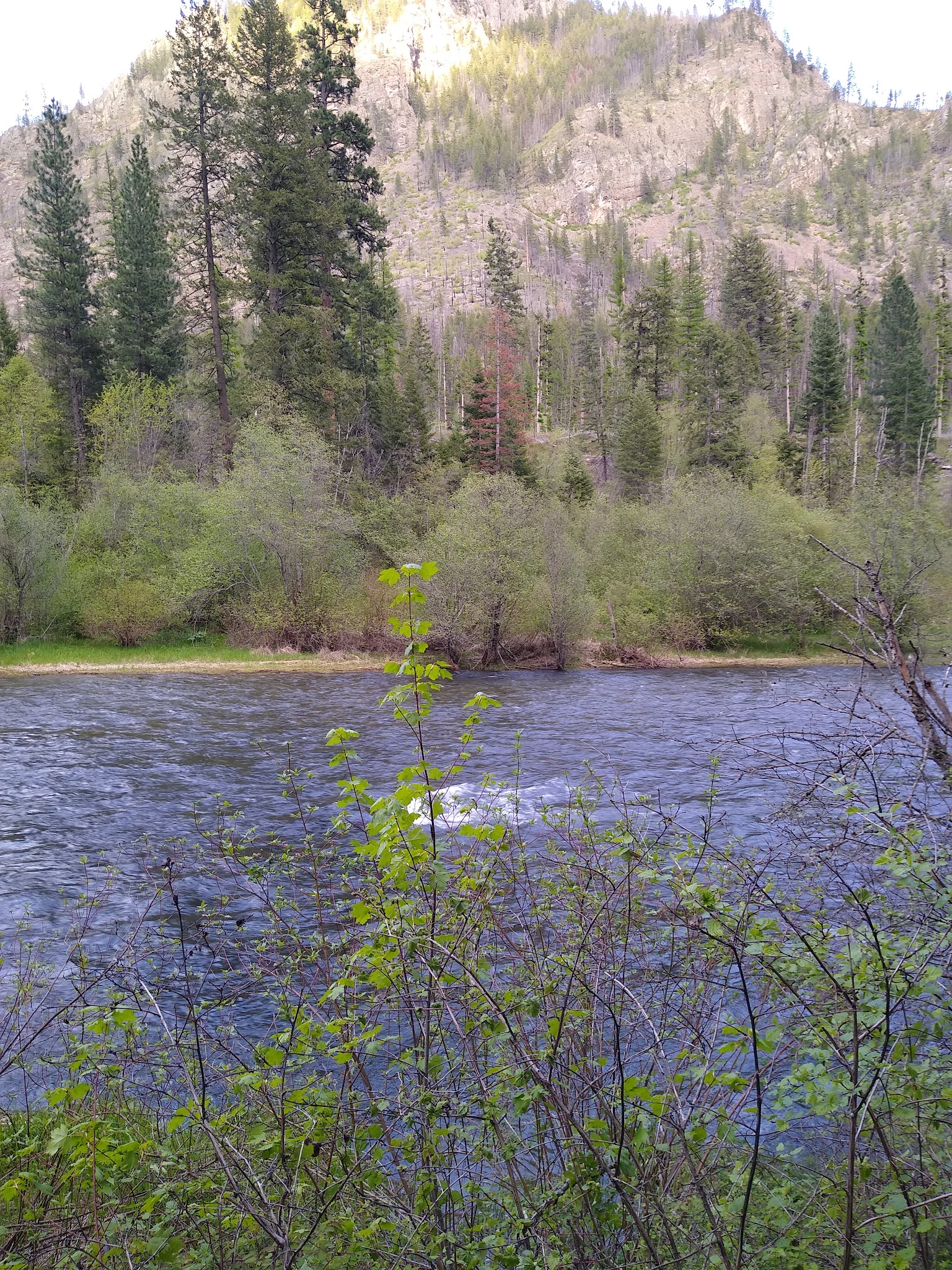 Copper King Campground