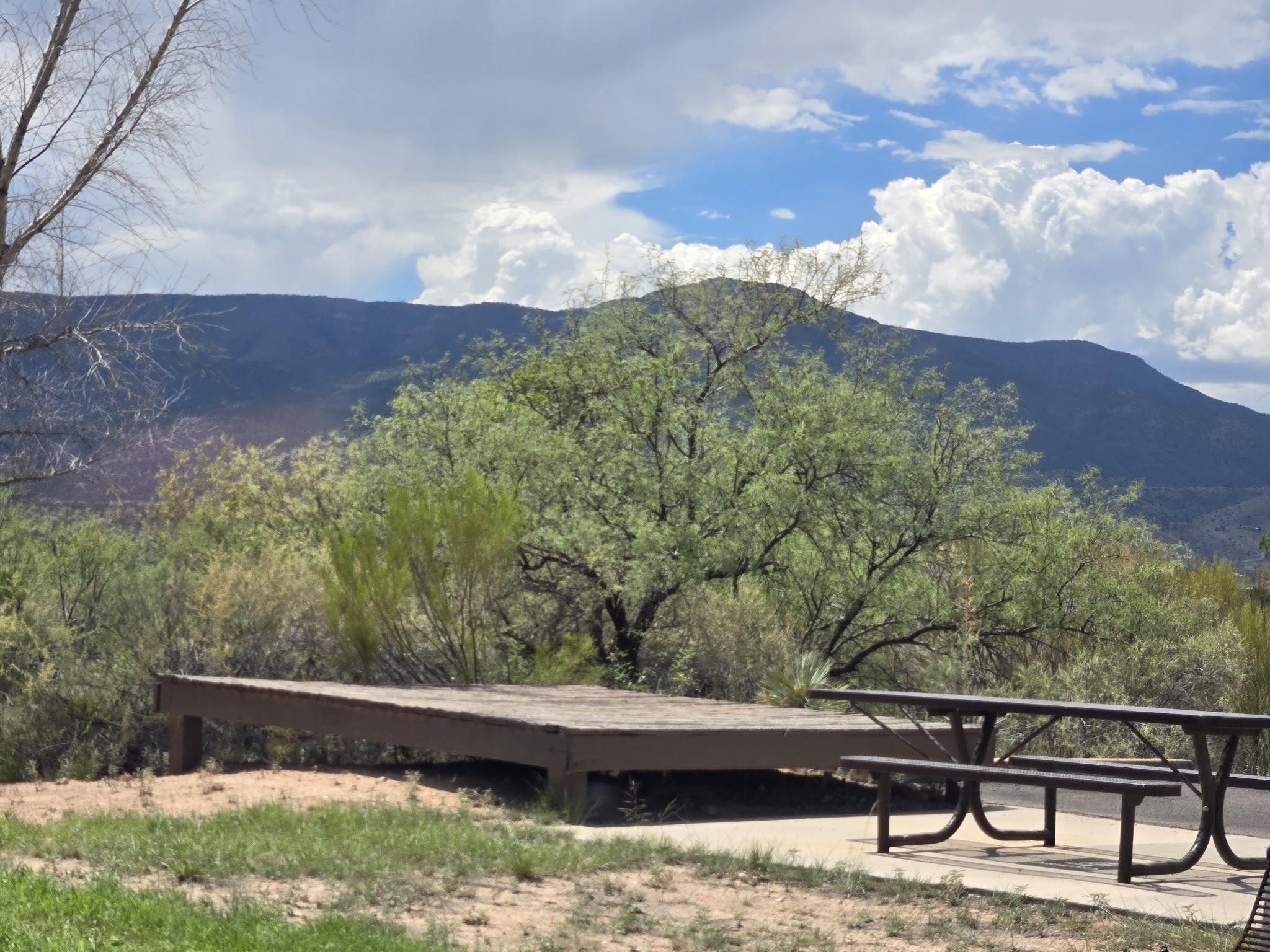 Cooper'S Hawk Campground