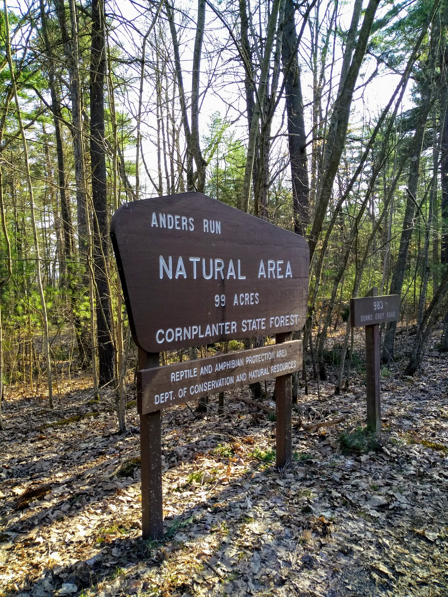 Cornplanter State Forest