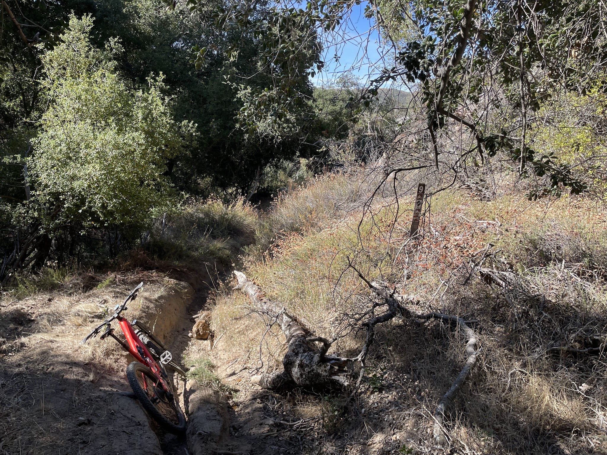 Corral Canyon Campground