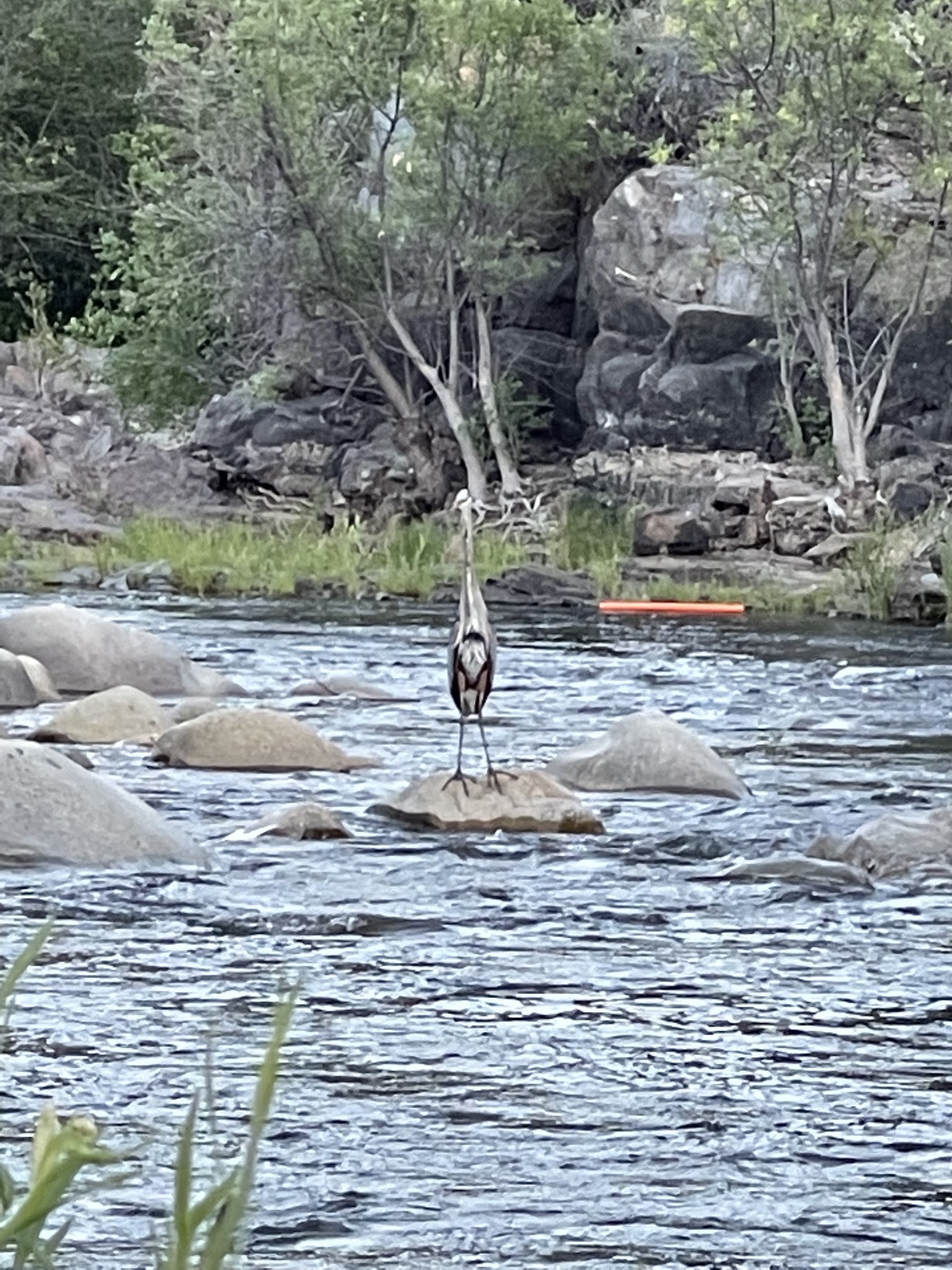 Corral Creek Dispersed Camping