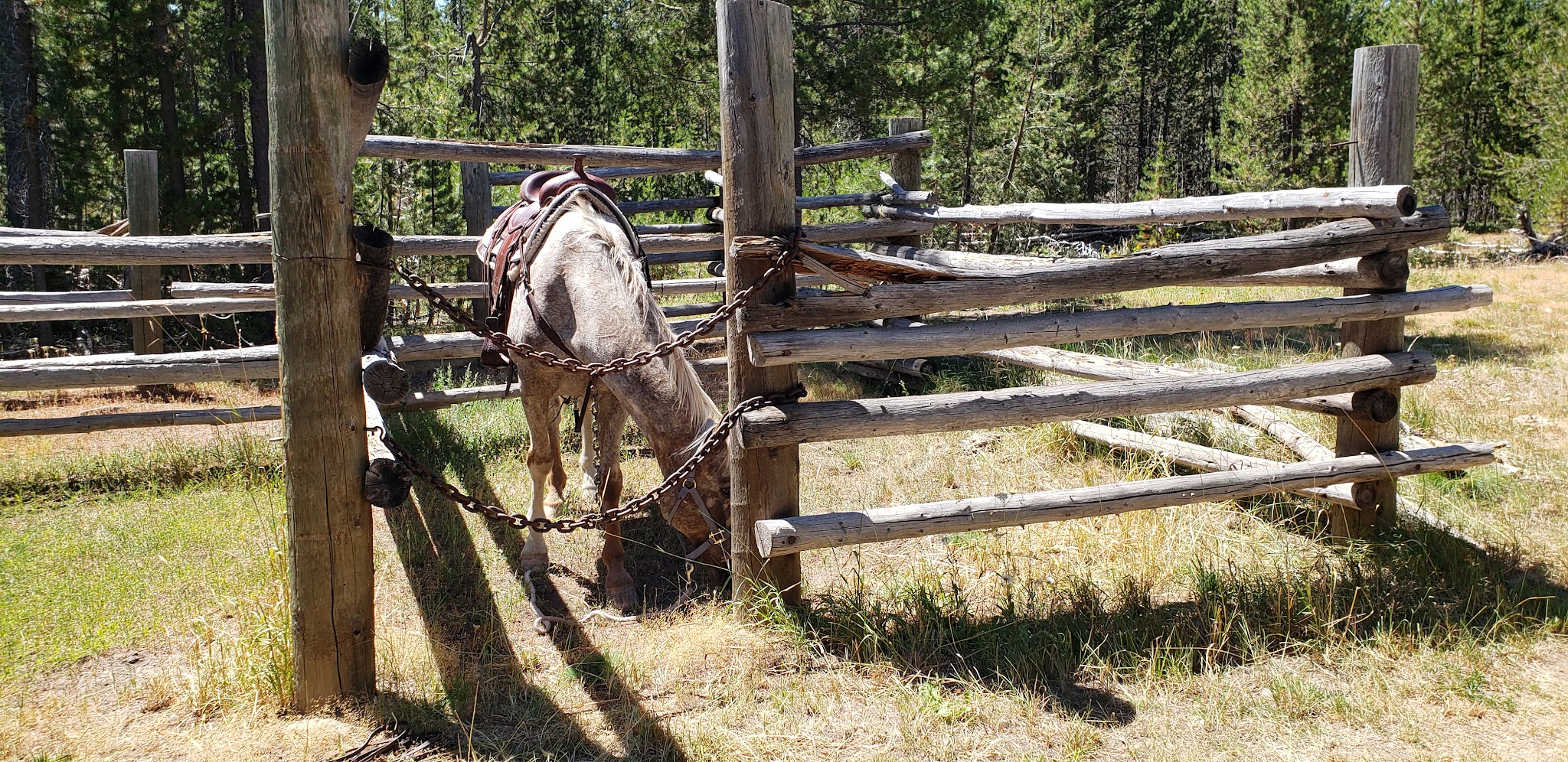 Corral Creek Campground