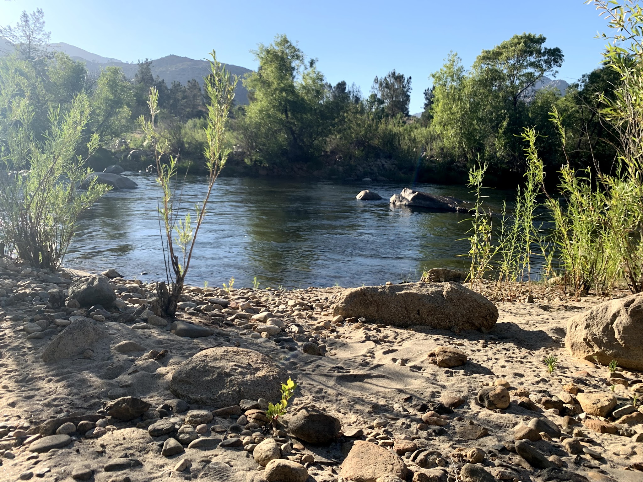 Corral Creek Dispersed Camping