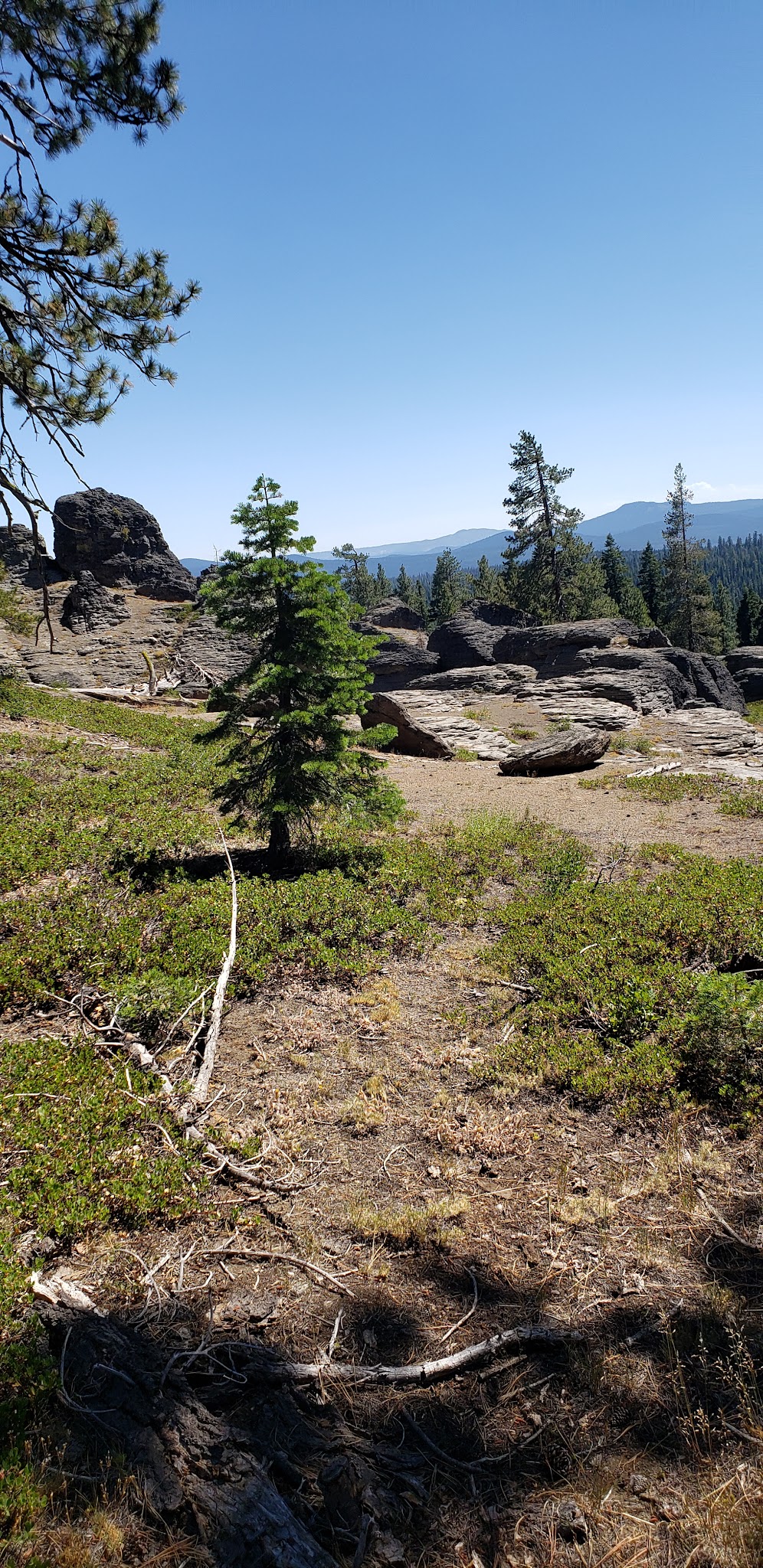 Corral Creek Campground