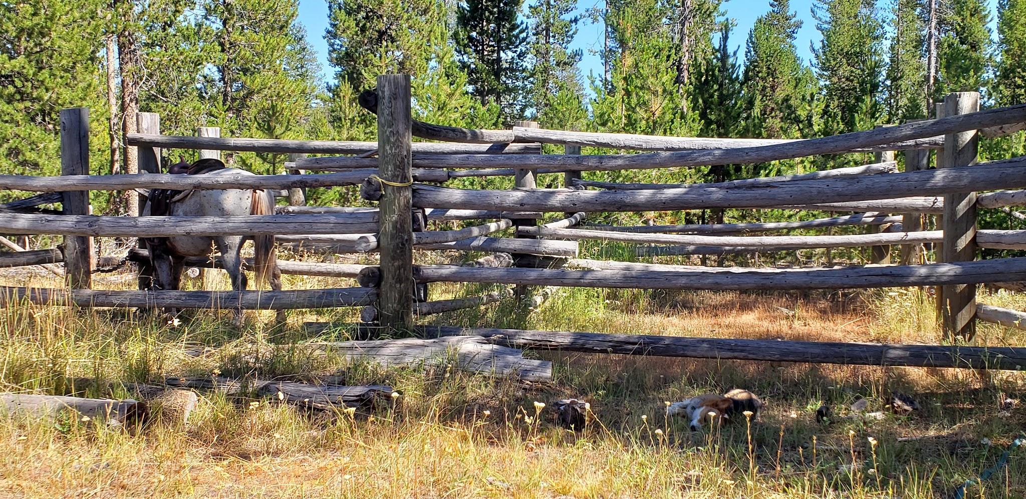 Corral Creek Campground