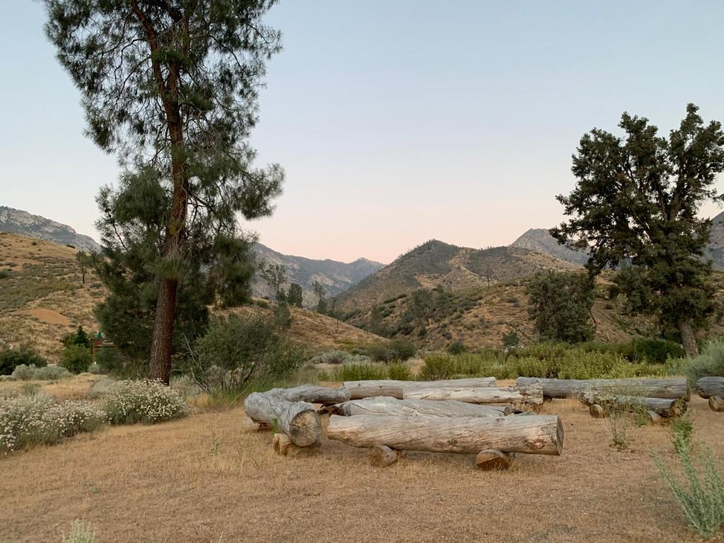 Corral Creek Dispersed Camping
