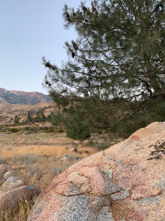 Corral Creek Dispersed Camping