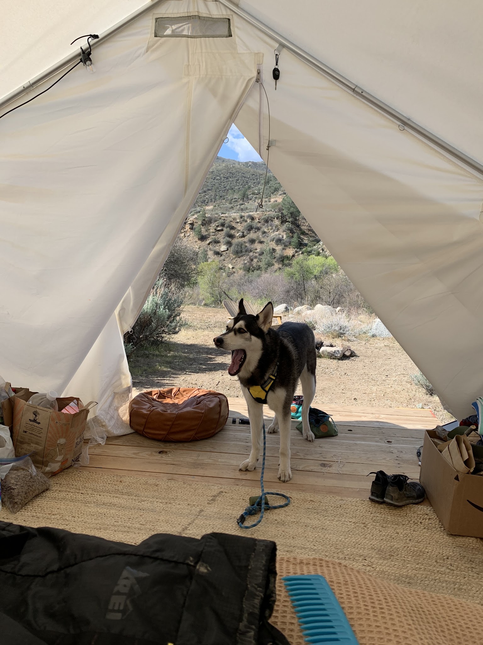 Corral Creek Dispersed Camping