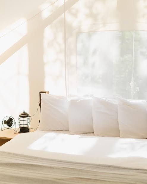 Corral Creek Dispersed Camping