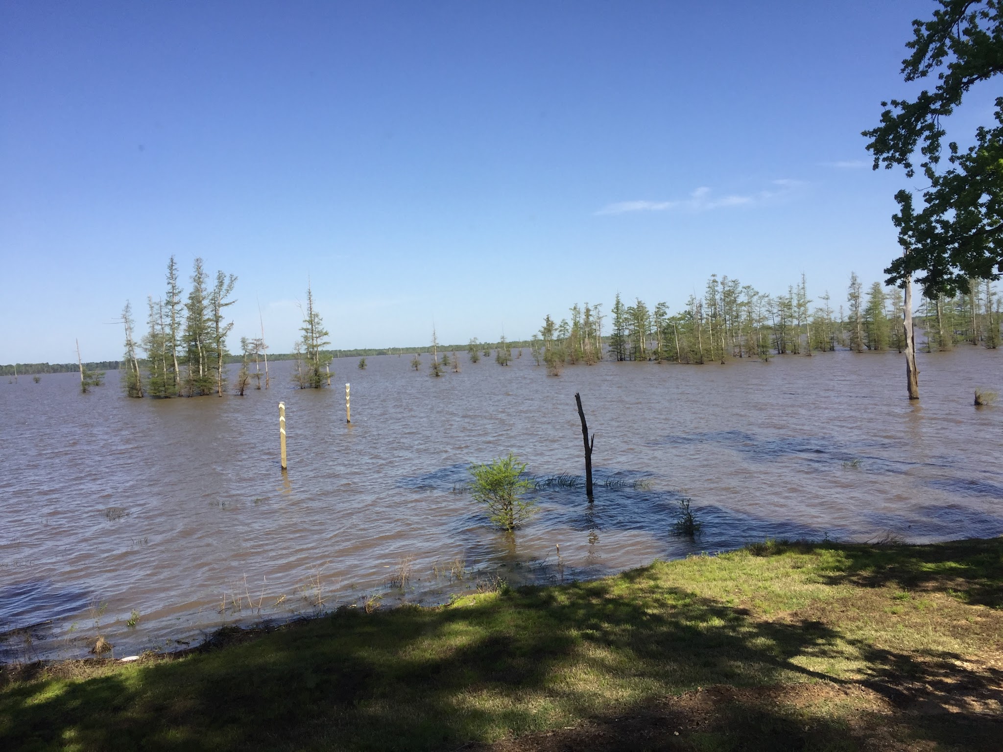 Cottonshed Park (Ar)
