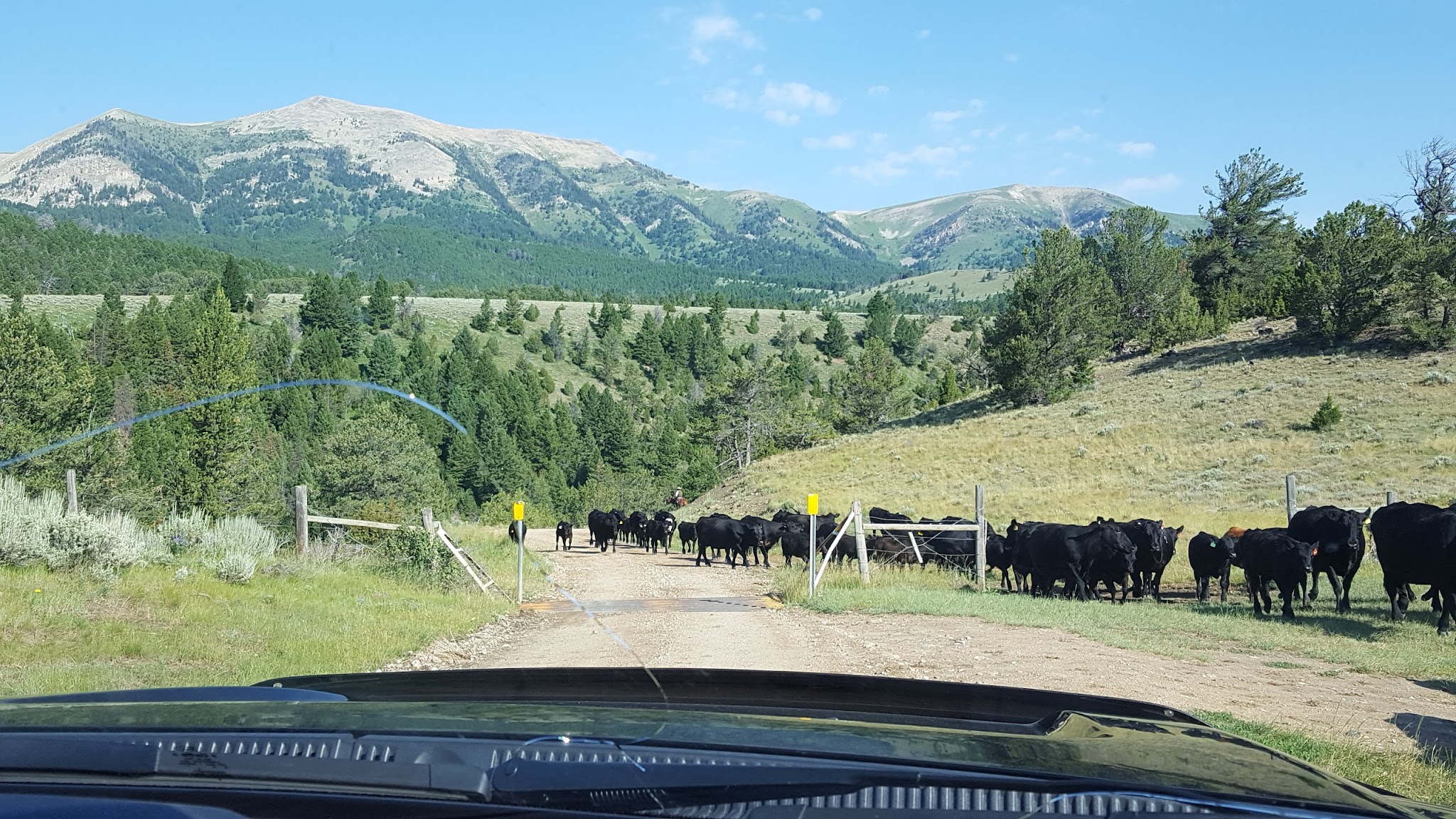 Cottonwood Campground