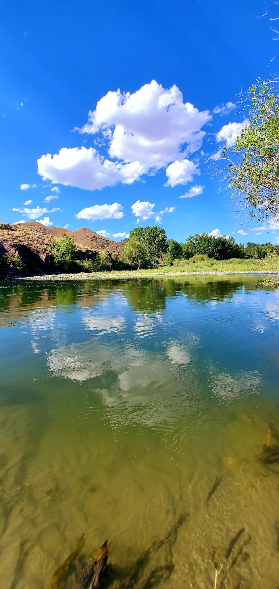 Cottonwood Campground