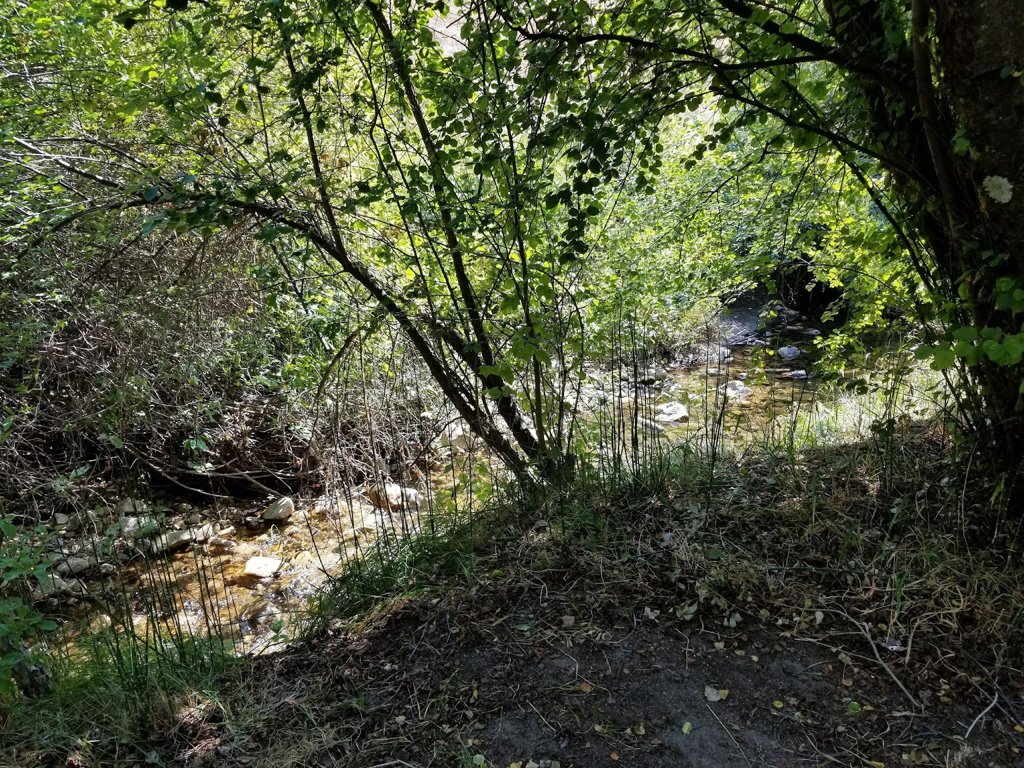 Cottonwood Campground