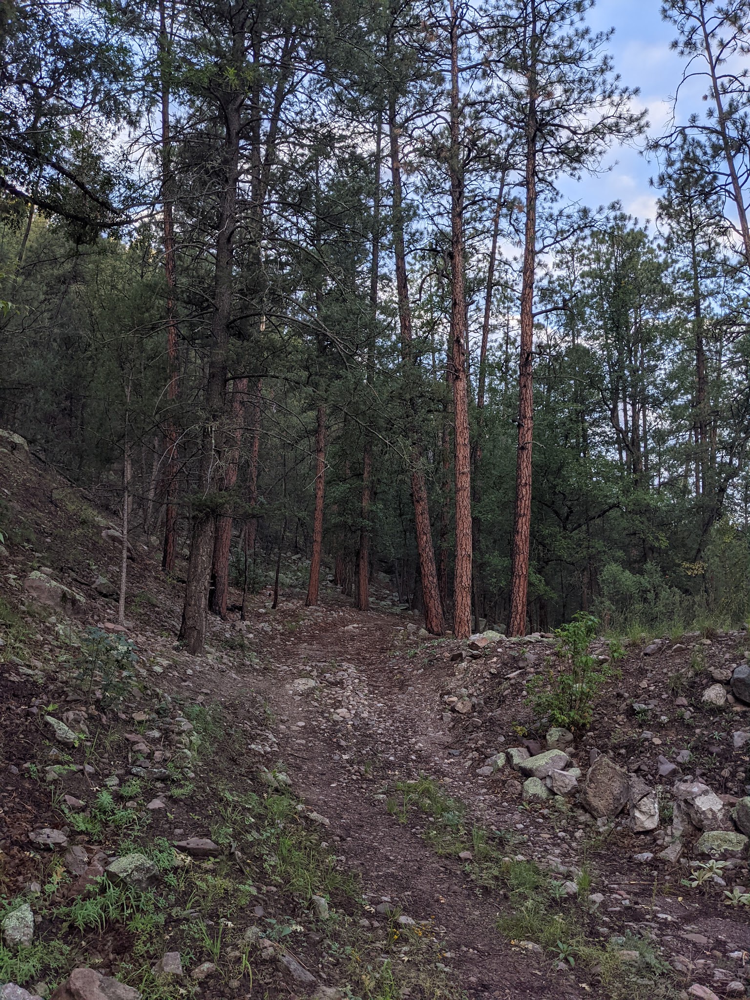 Cottonwood Campground