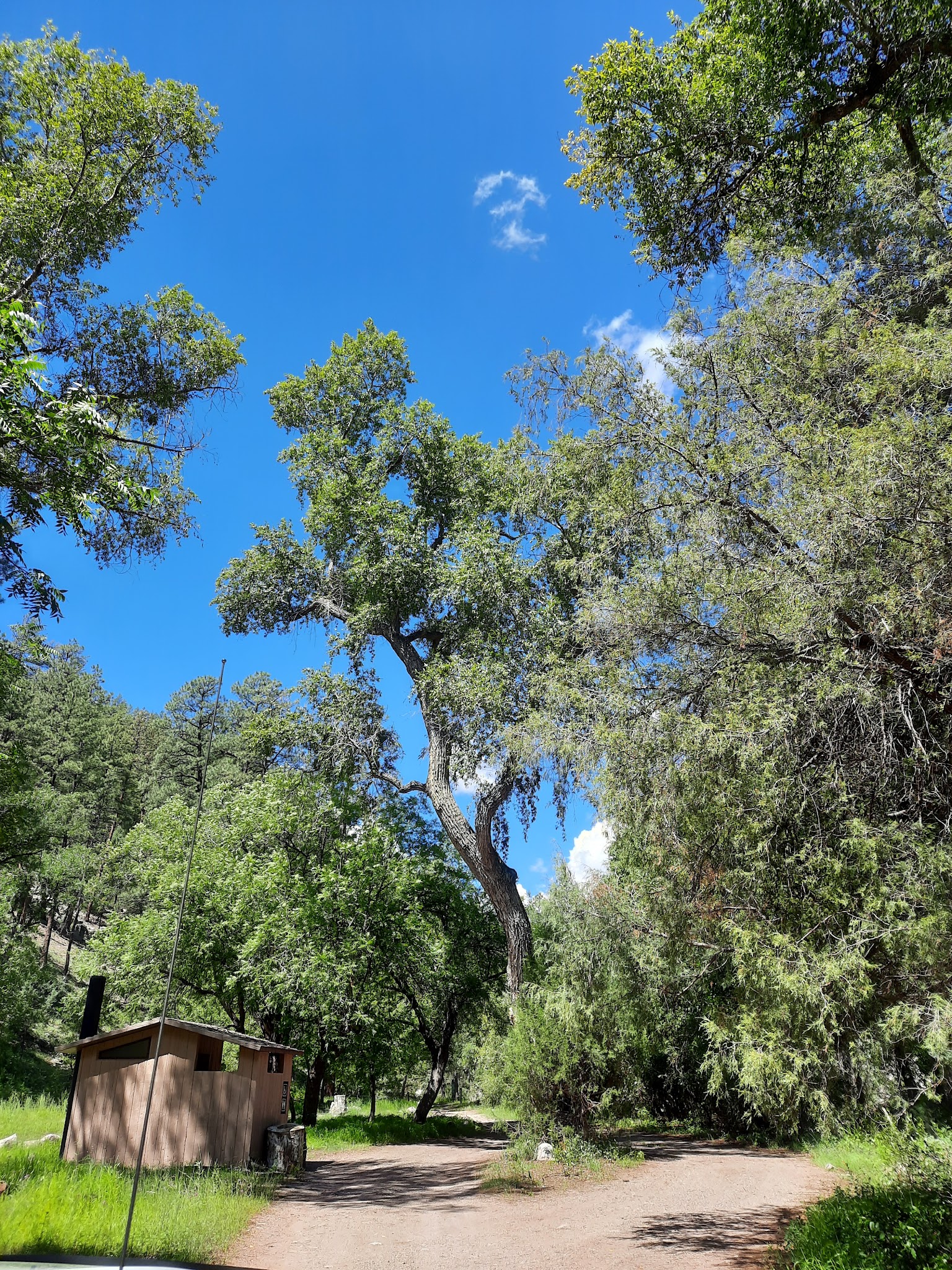 Cottonwood Campground