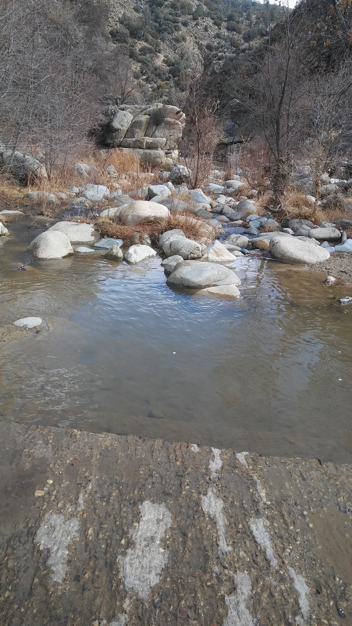 Cottonwood Campground