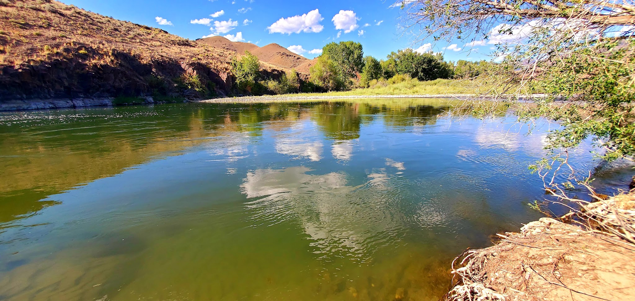 Cottonwood Campground