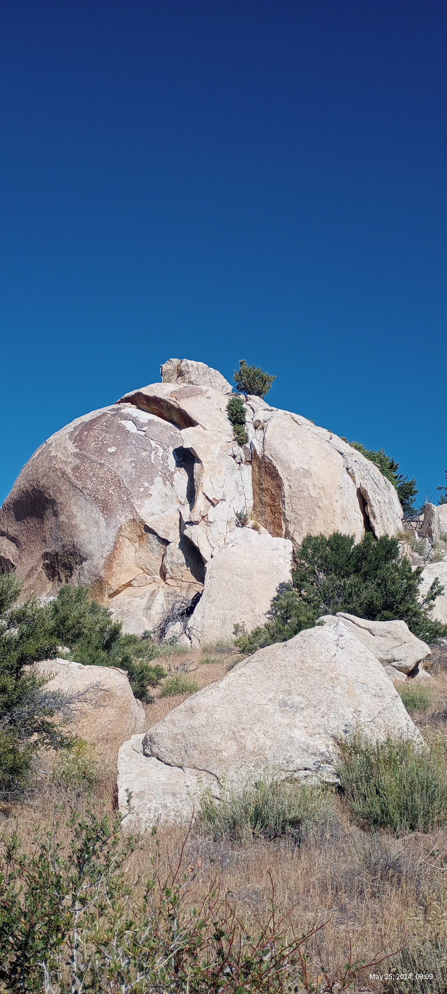 Cottonwood Campground