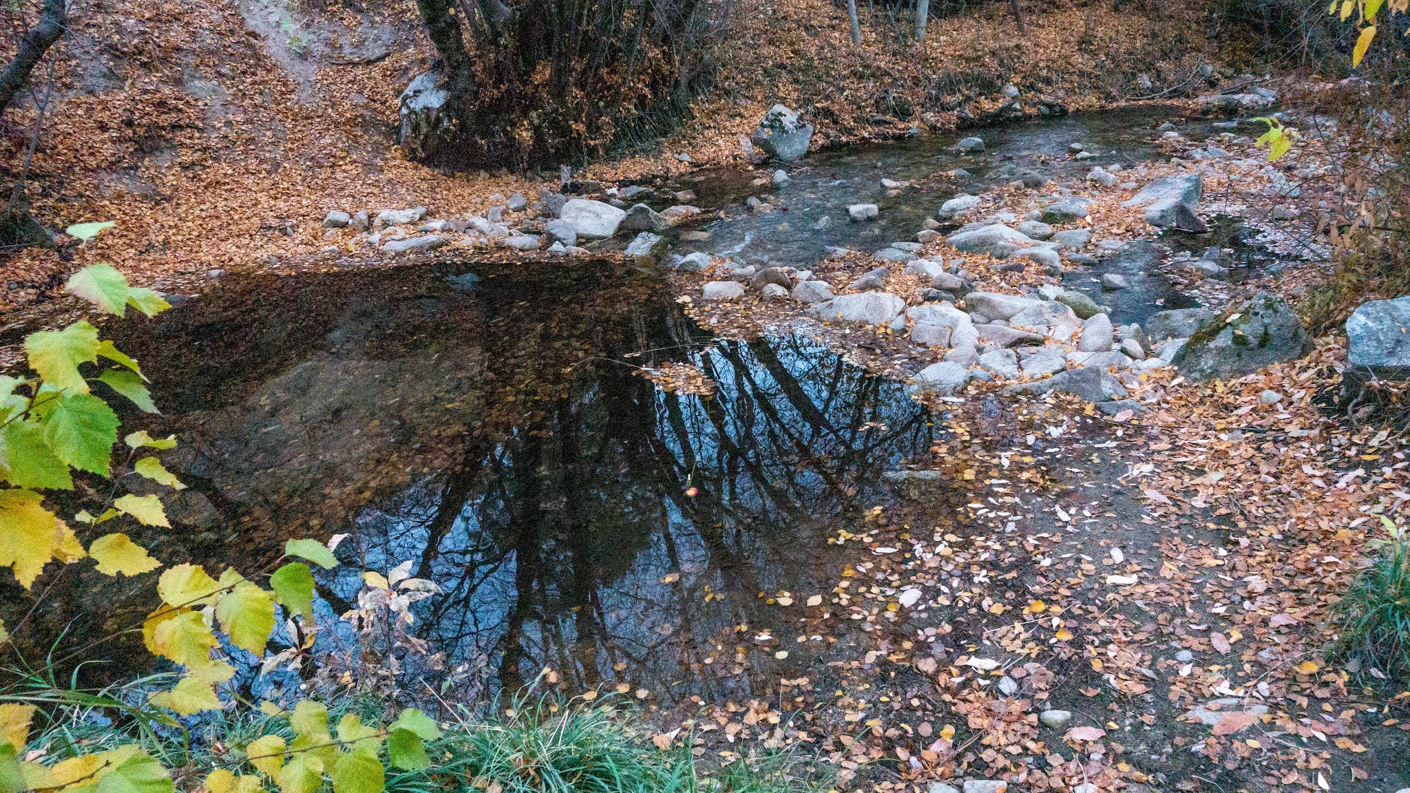 Cottonwood Campground