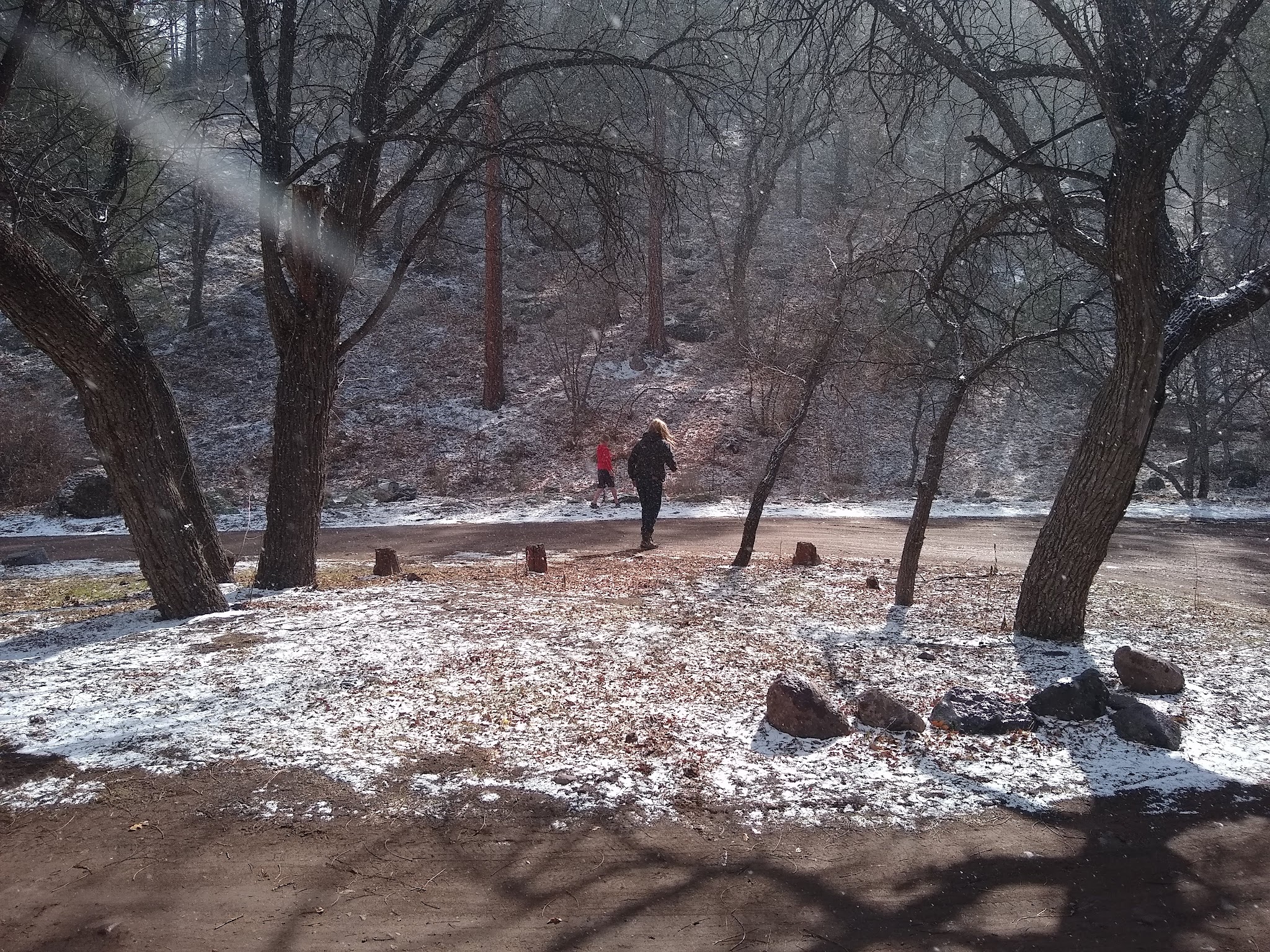 Cottonwood Campground