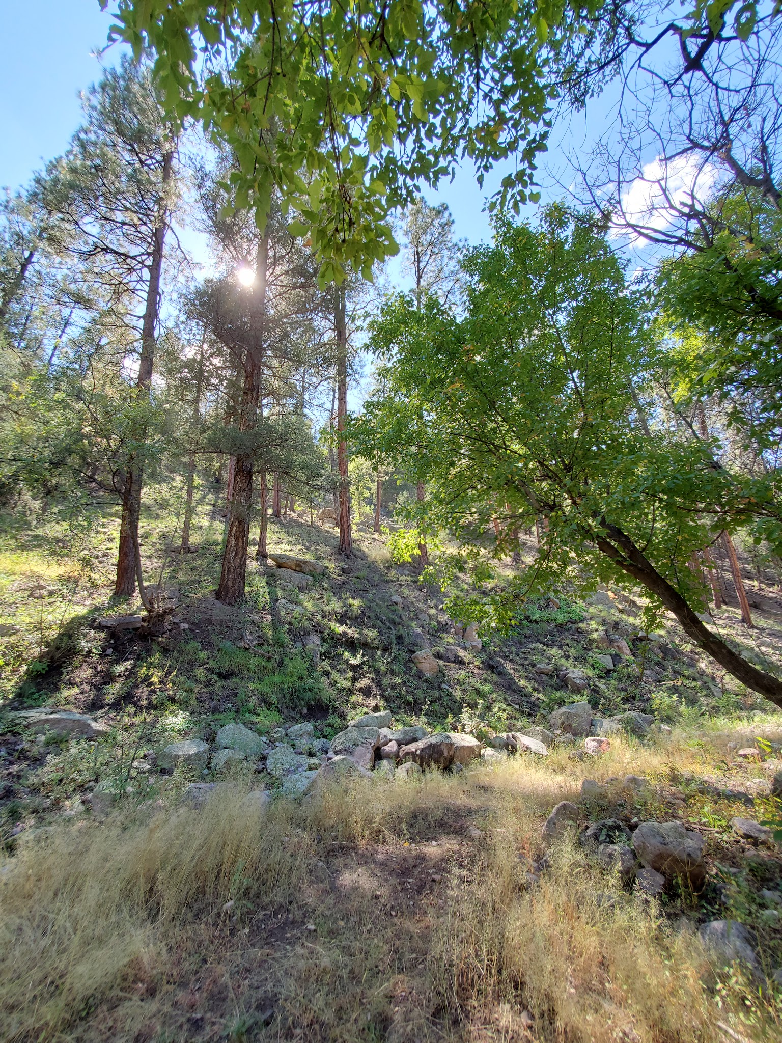 Cottonwood Campground