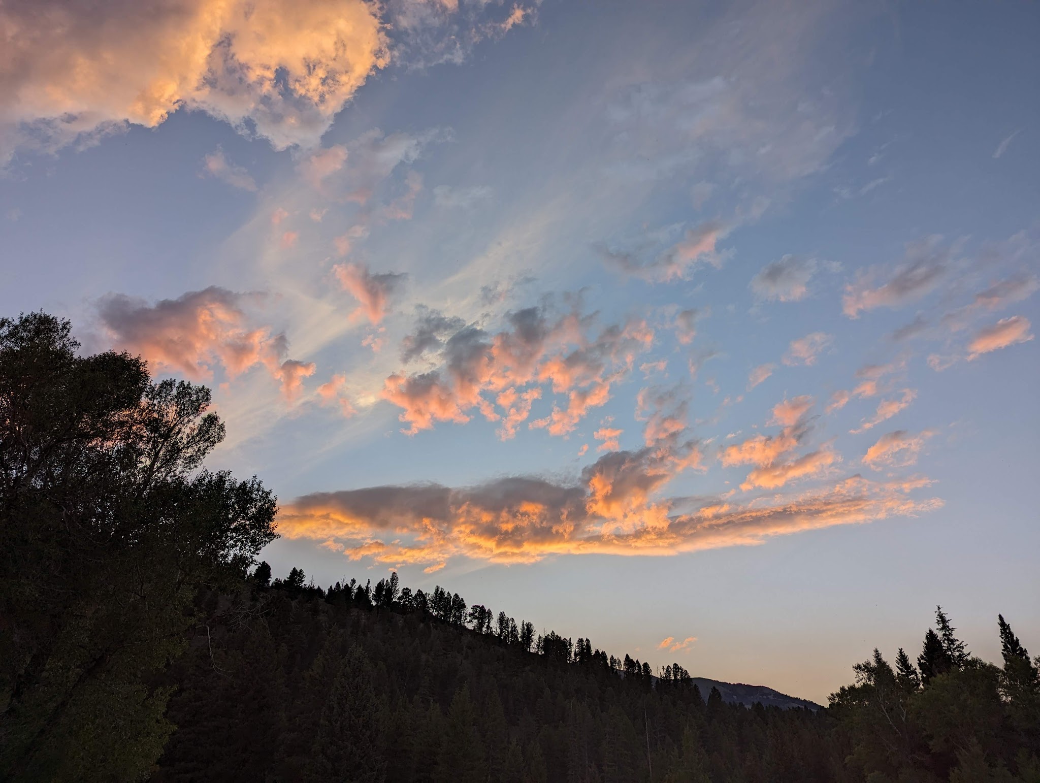 Cottonwood Campground