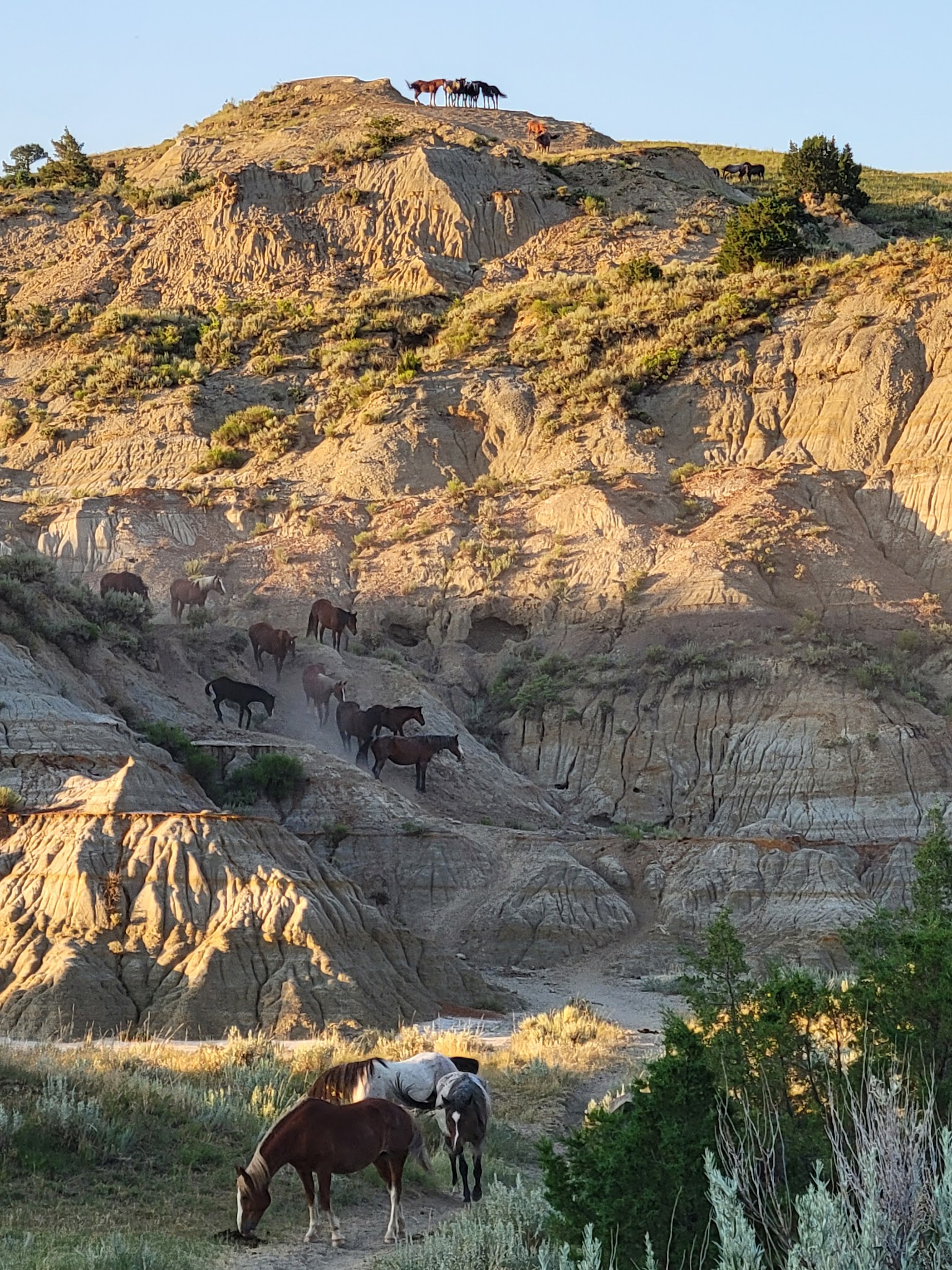 Camping in Northern Great Plains & Badlands