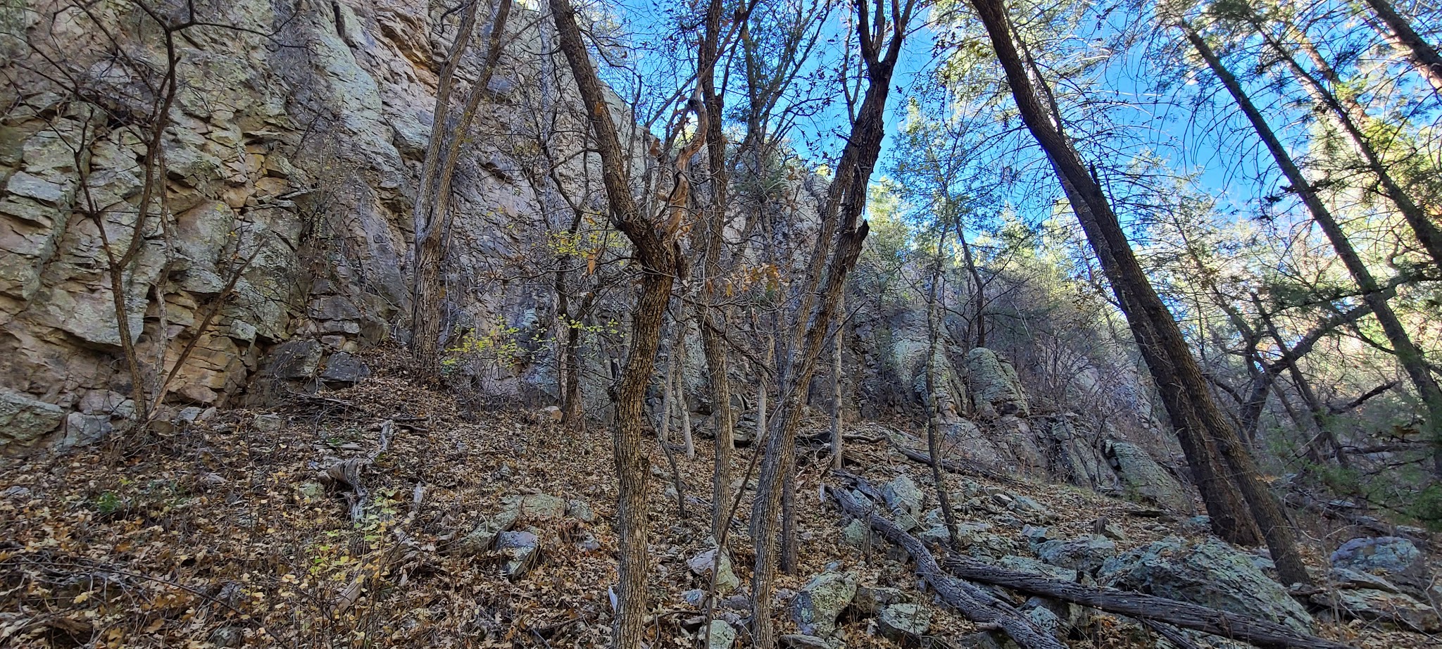 Cottonwood Campground