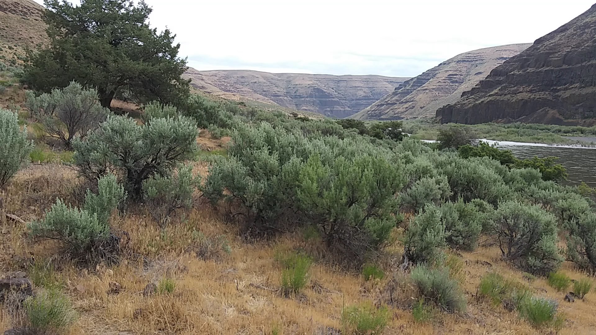 Cottonwood Canyon State Park