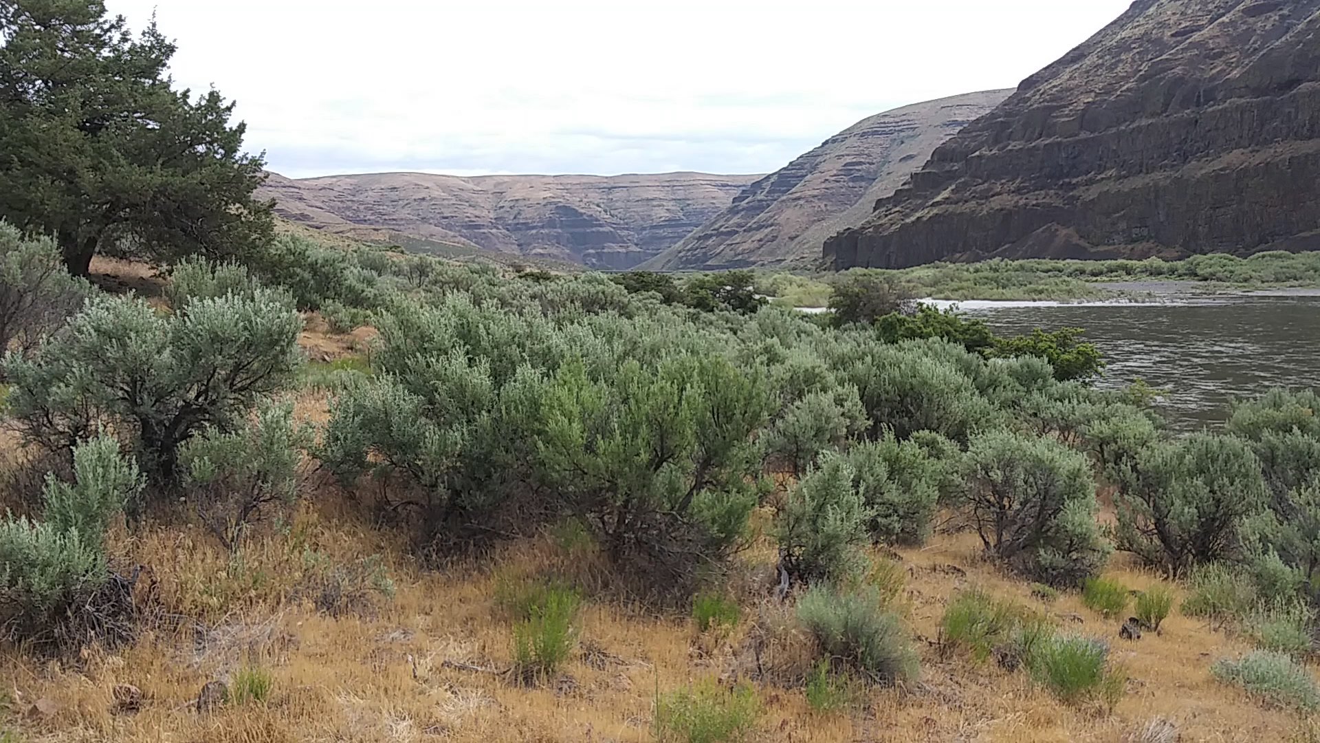 Cottonwood Canyon State Park