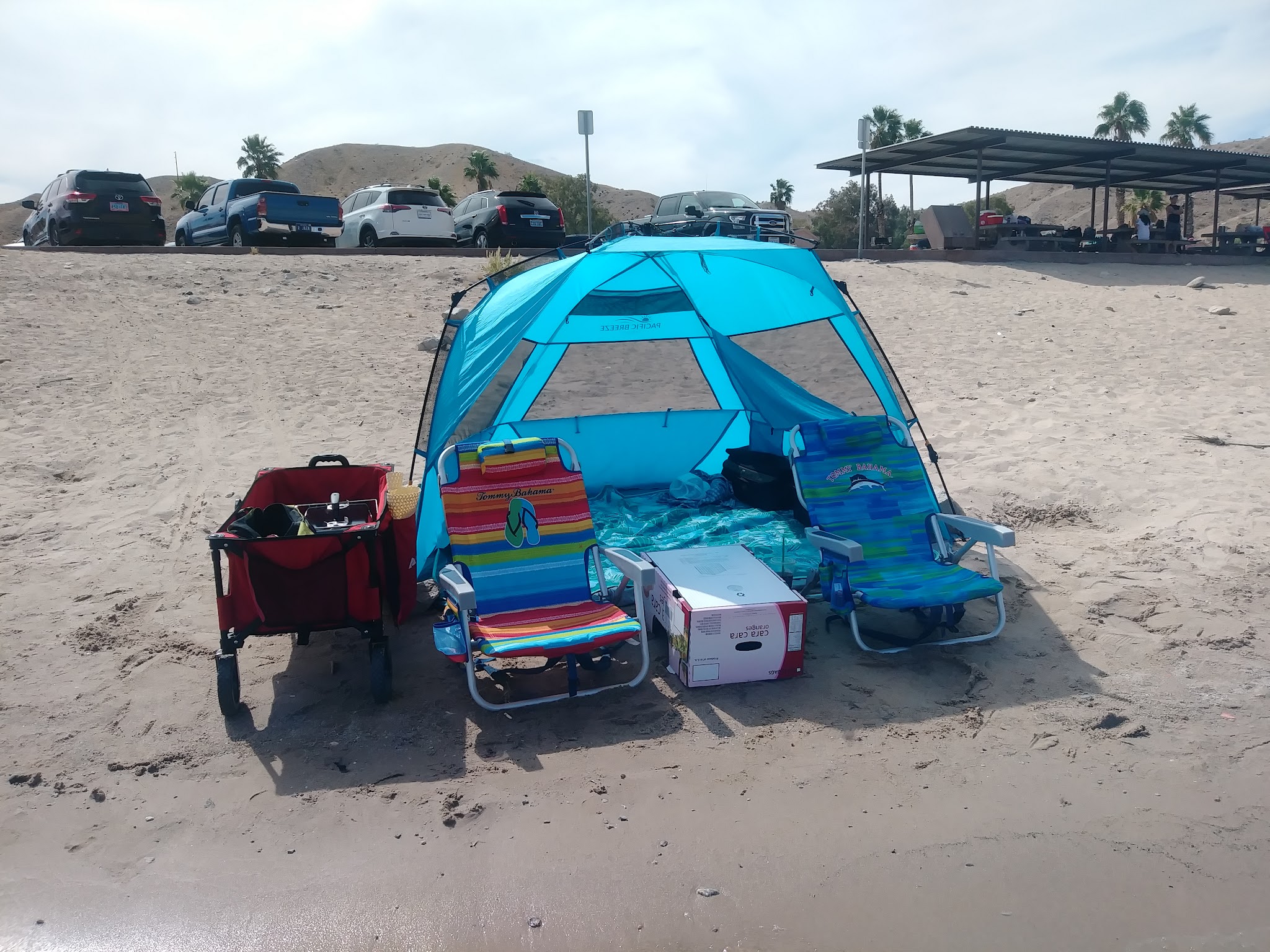 Cottonwood Cove Rv Park (Lake Mead)