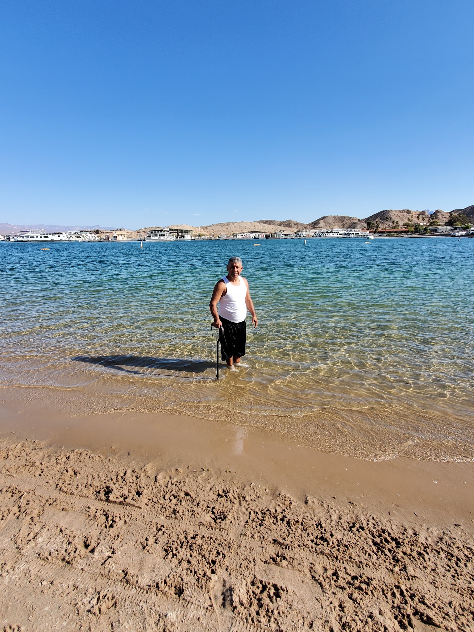 Cottonwood Cove Rv Park (Lake Mead)