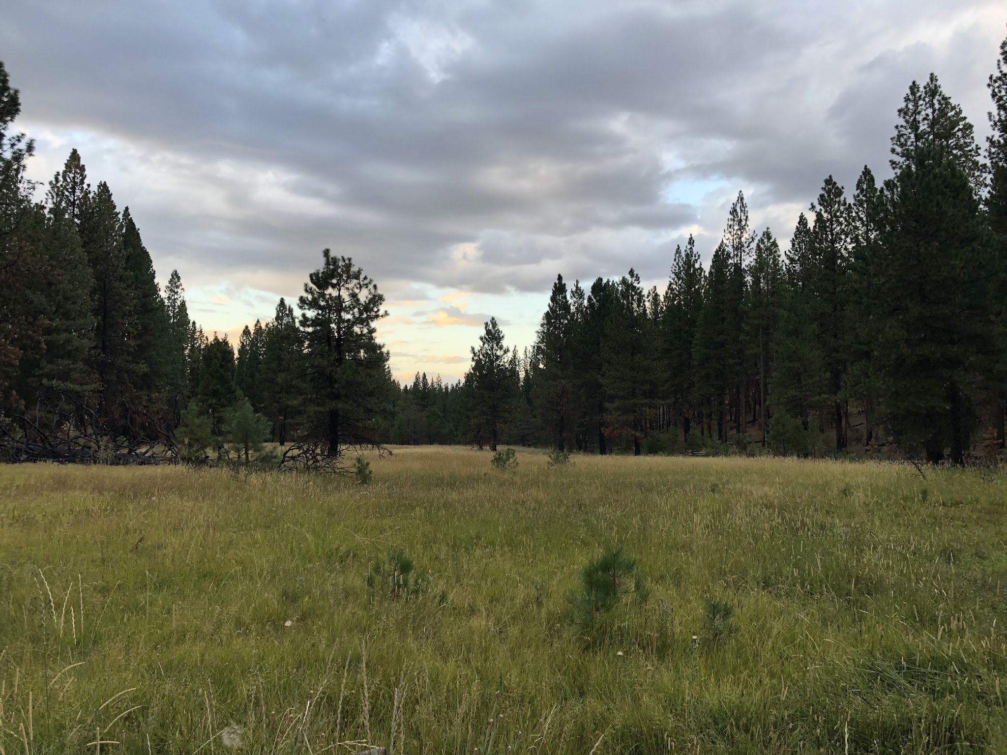 Cottonwood Flat Campground