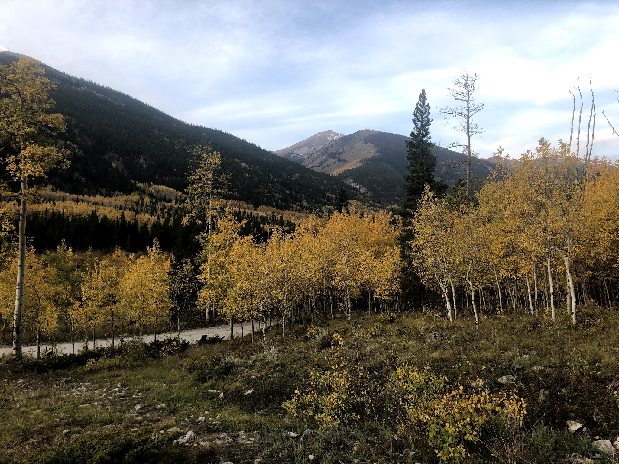Cottonwood Lake - Psicc (Co)