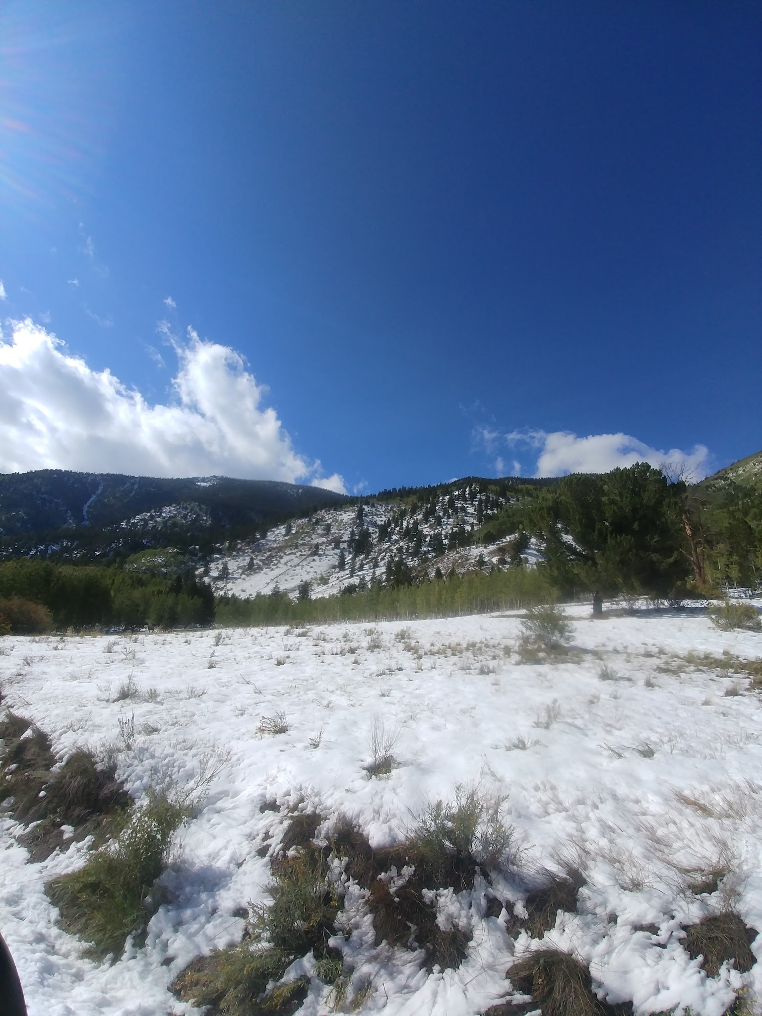 Cottonwood Lake - Psicc (Co)