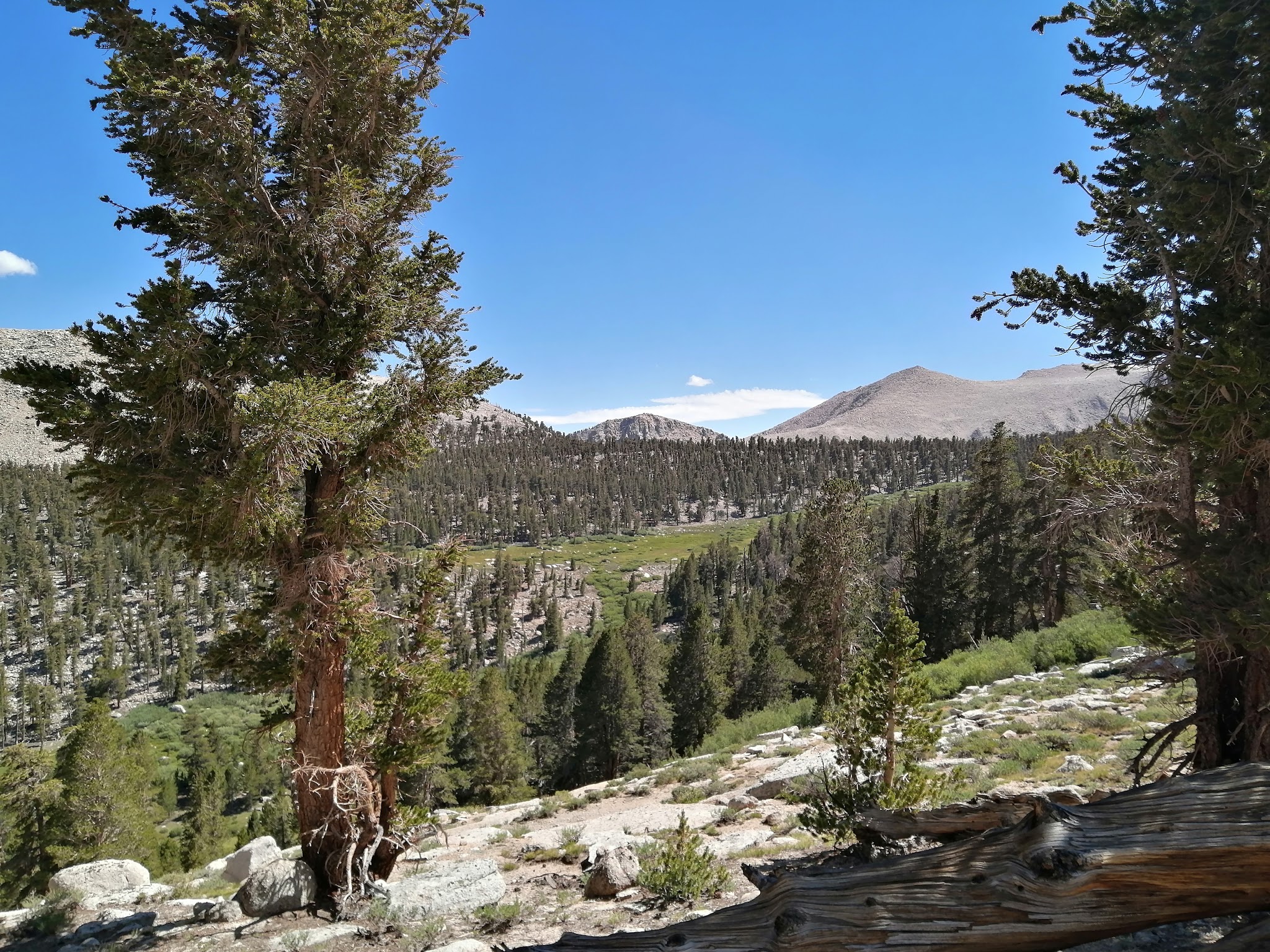 Cottonwood Lakes Walk In Campground