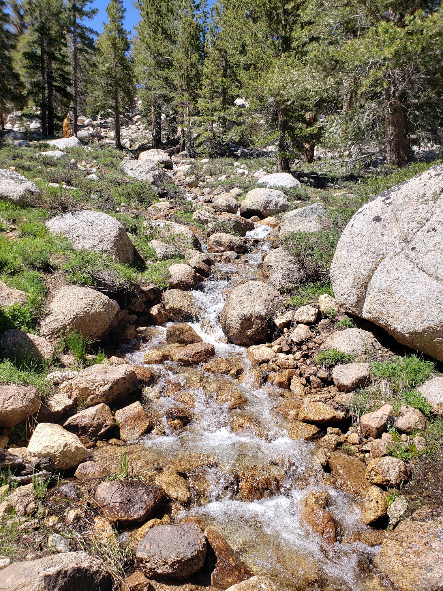 Cottonwood Lakes Walk In Campground