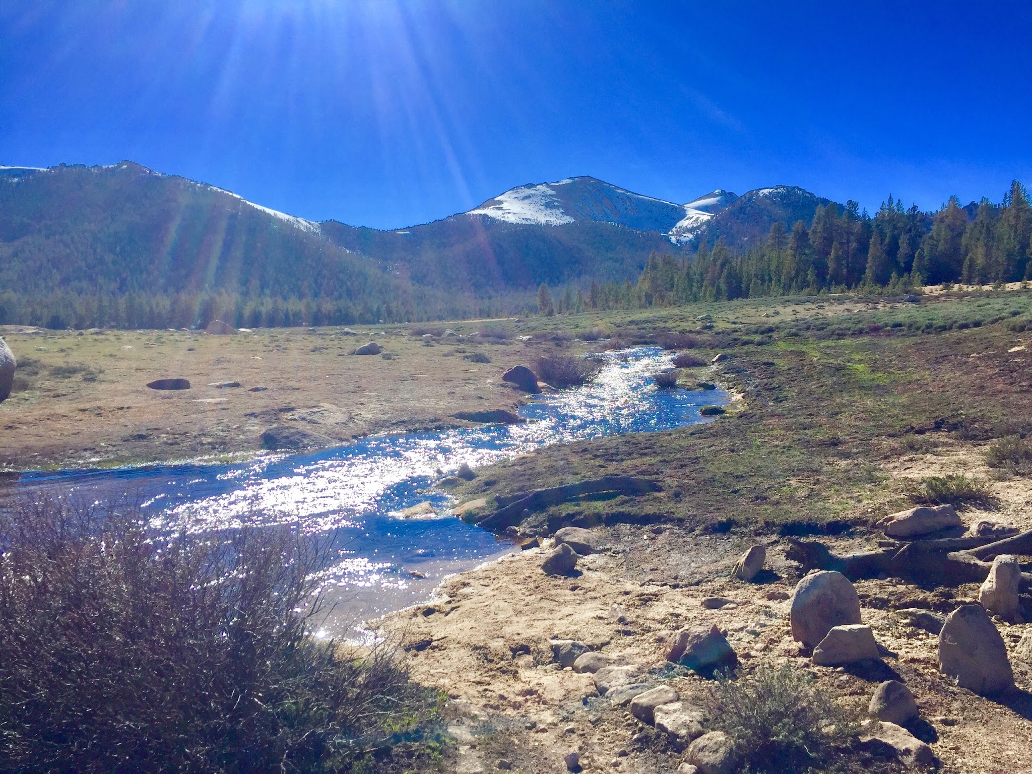 Cottonwood Pass Walk In Campground