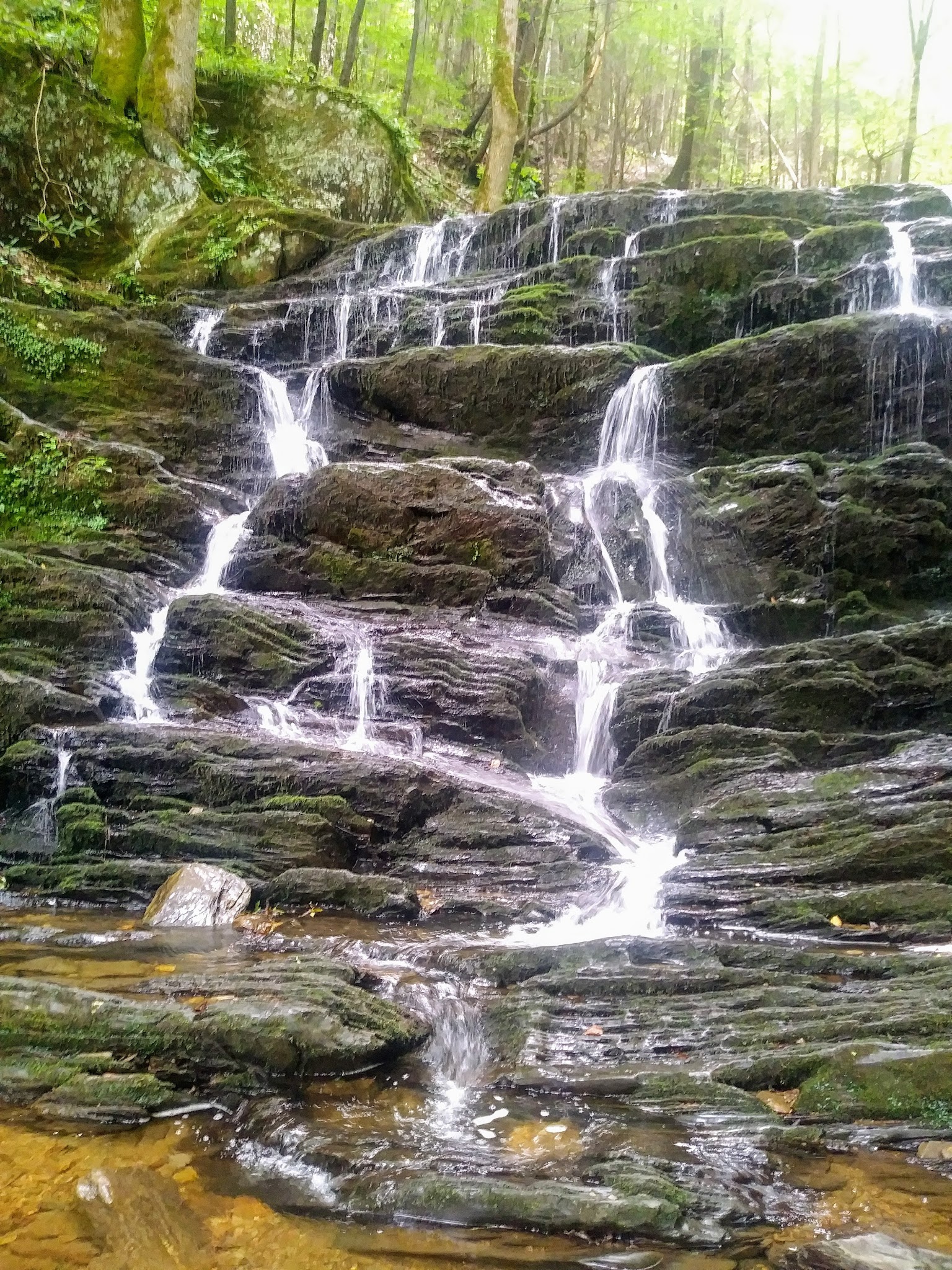 Cottonwood Patch Campground