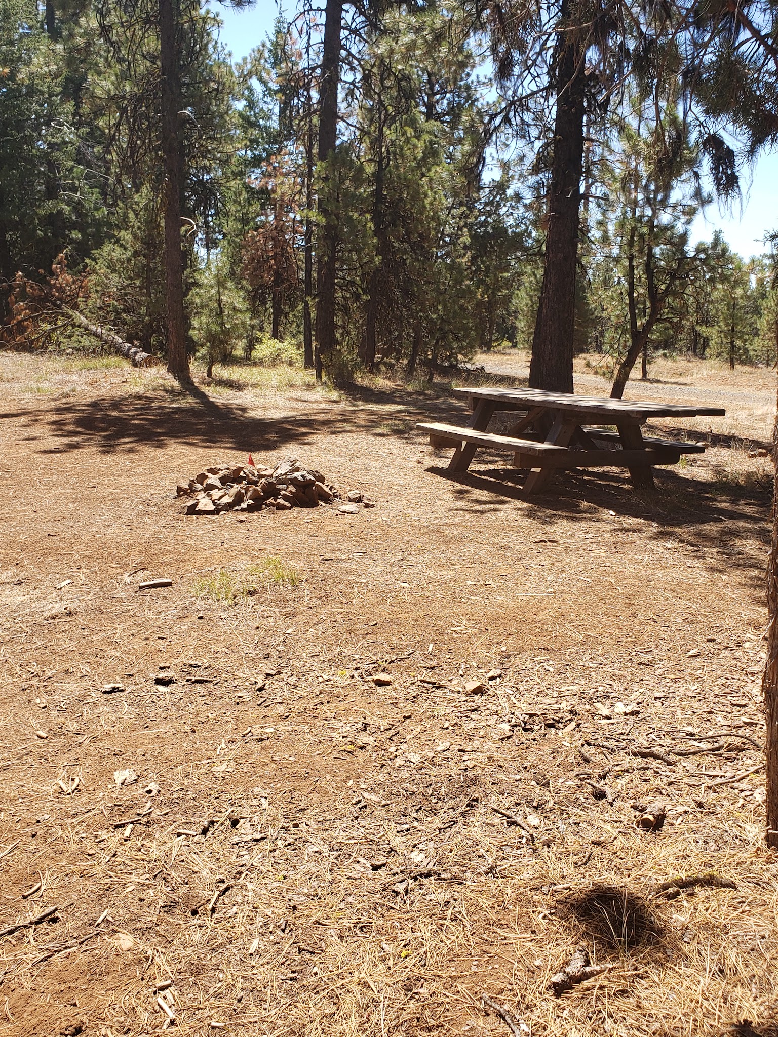 Cottonwood Pit Campground