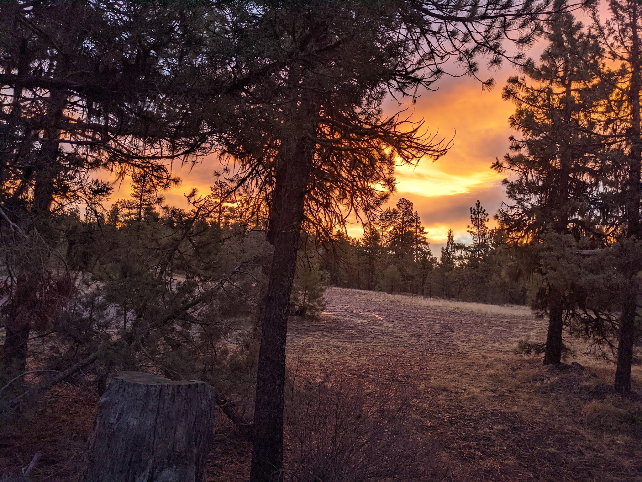Cottonwood Pit Campground
